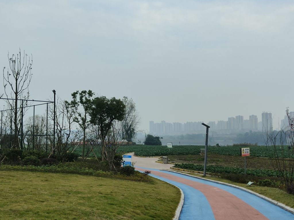 潼南蔬菜公园,你来观看过没有?