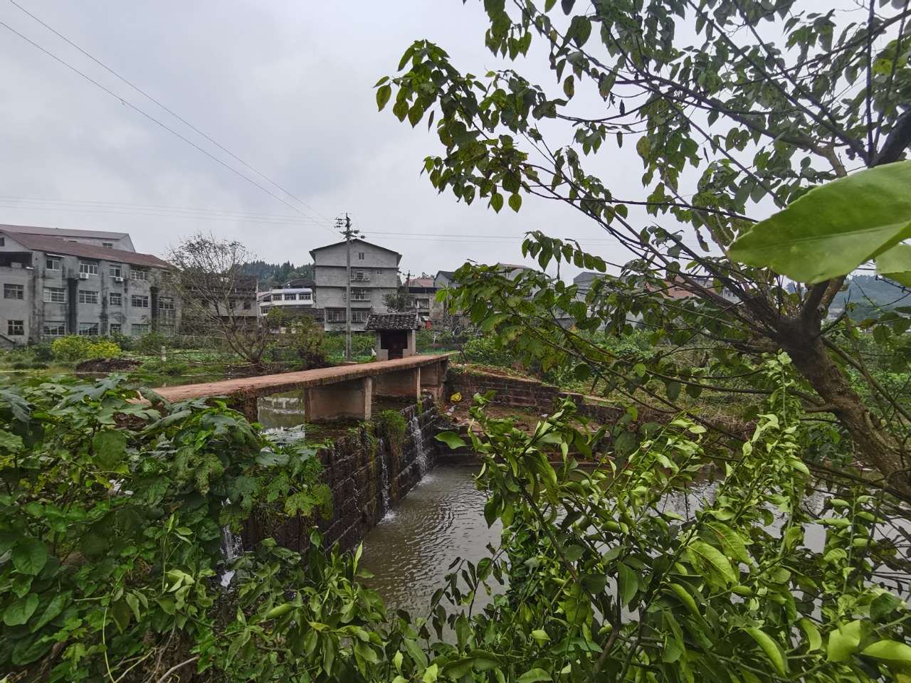 安岳县岳新乡壮观的渡槽,利在千秋的工程,给缺水的