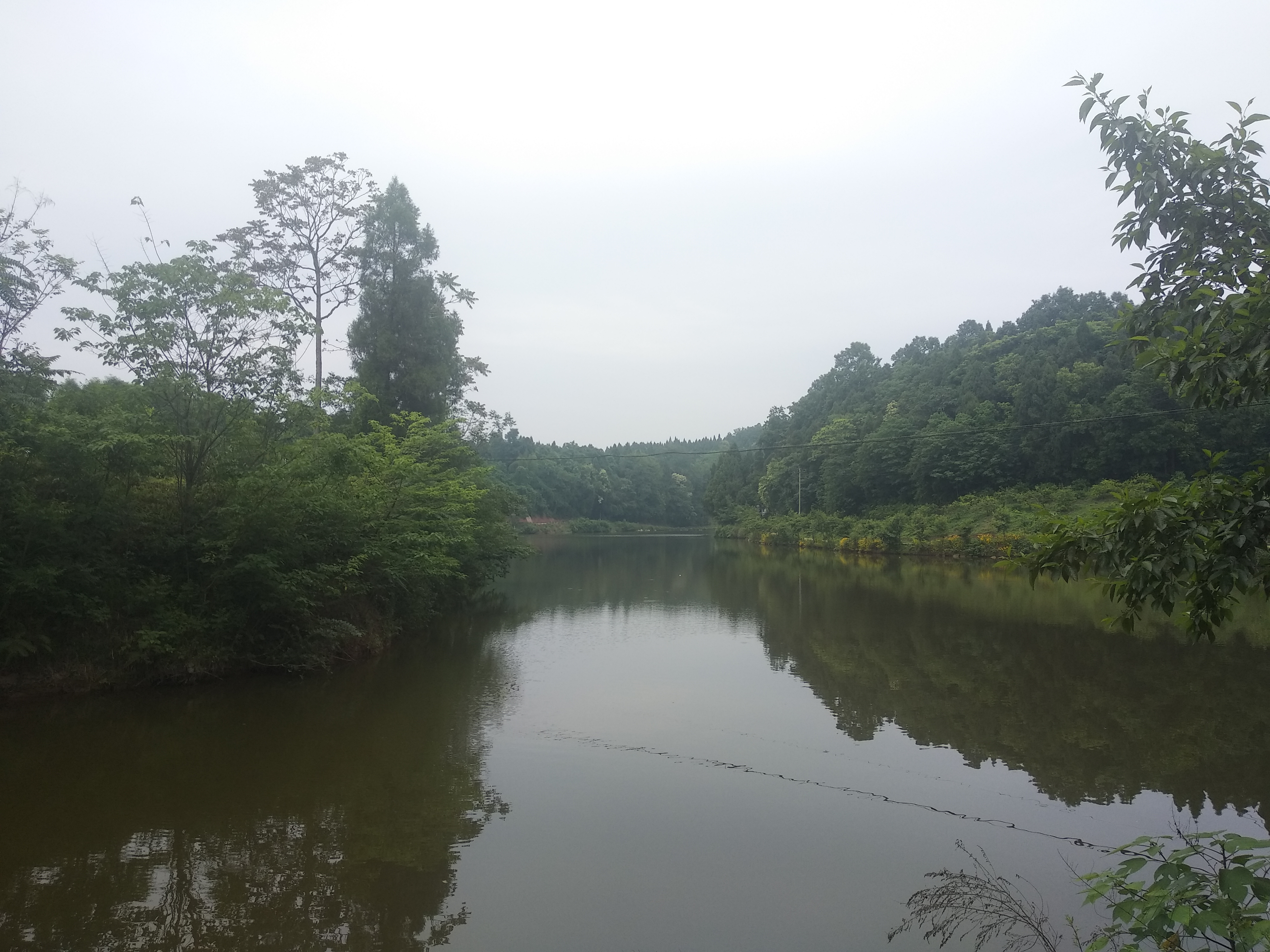青山绿水文化镇板板桥水库这里最美!