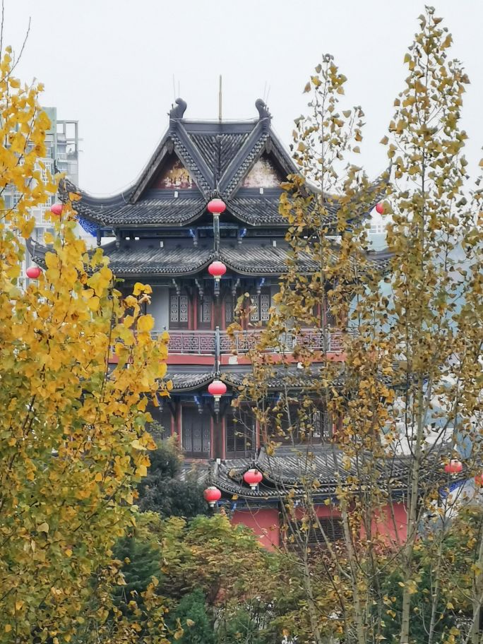 今日小雪漫步资阳东岳山