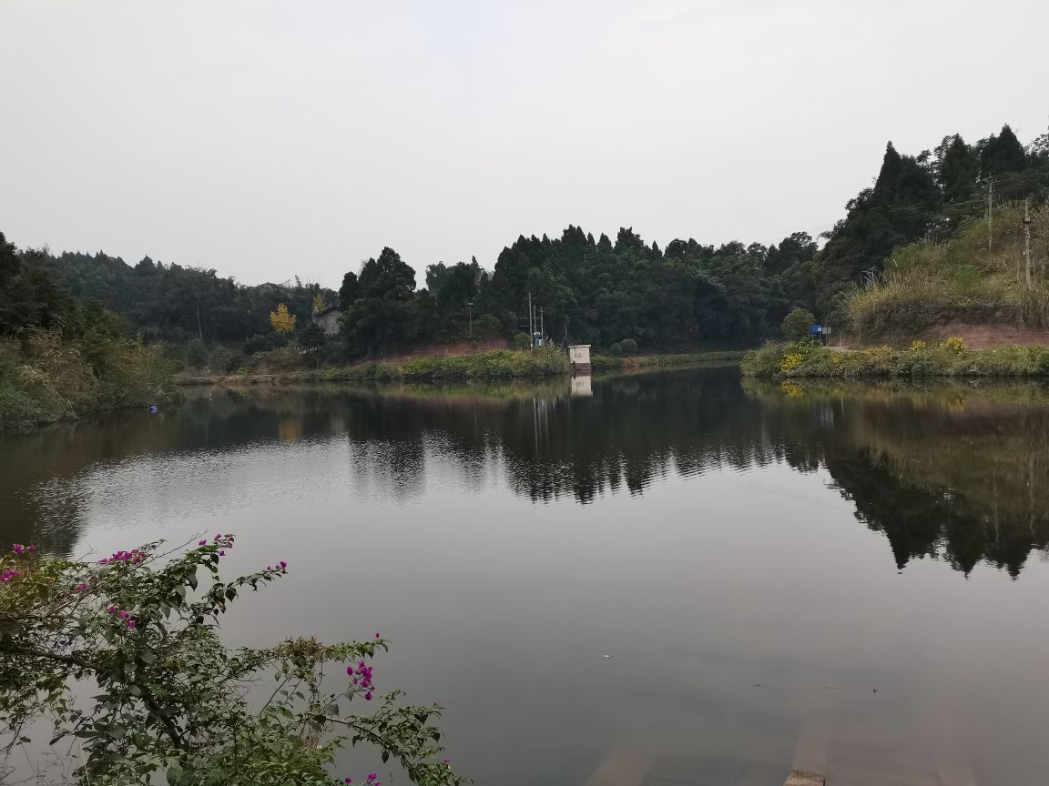 安岳现成的湿地公园一一文化板板桥水库
