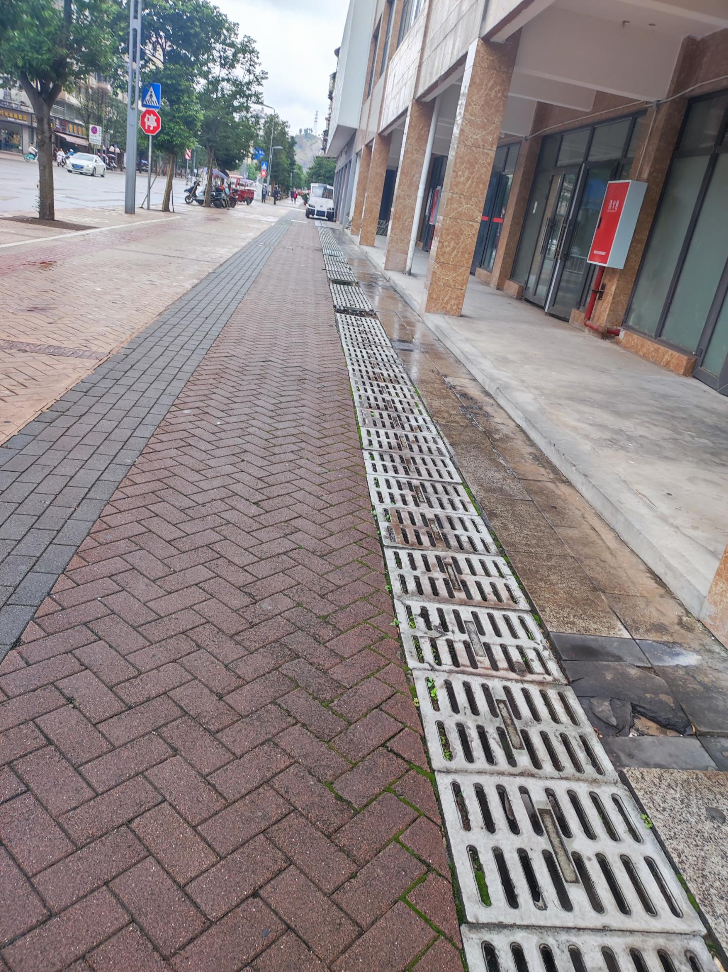 资阳皇龙路人行道上的排水沟上的雨篦子缺失严重,恐有行人跌落受伤!