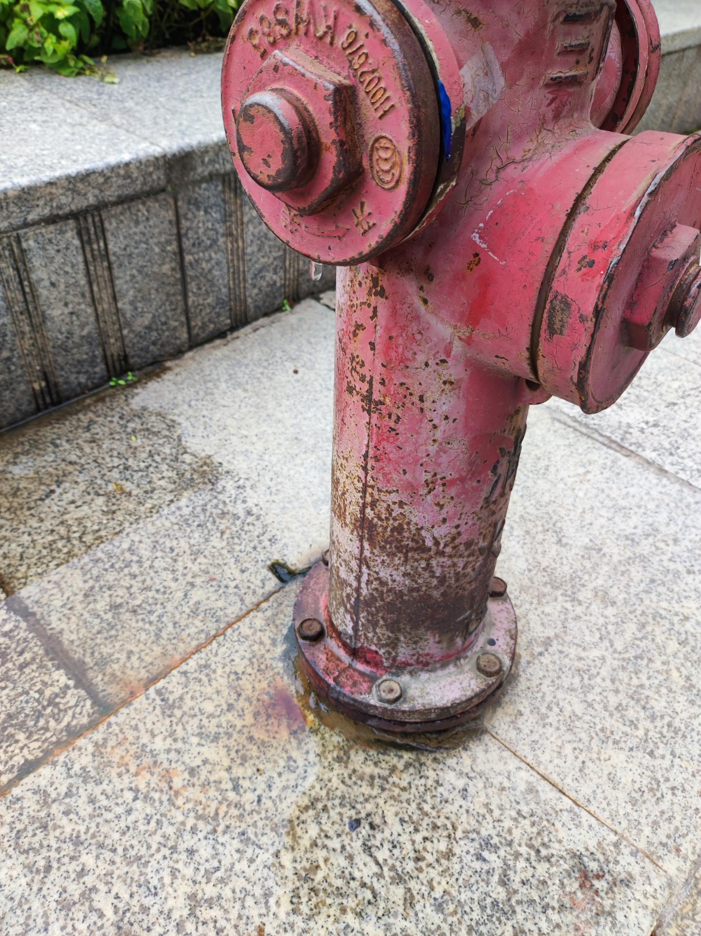 资阳苌弘美术馆外的消防栓一直在滴水,还请及时维修!