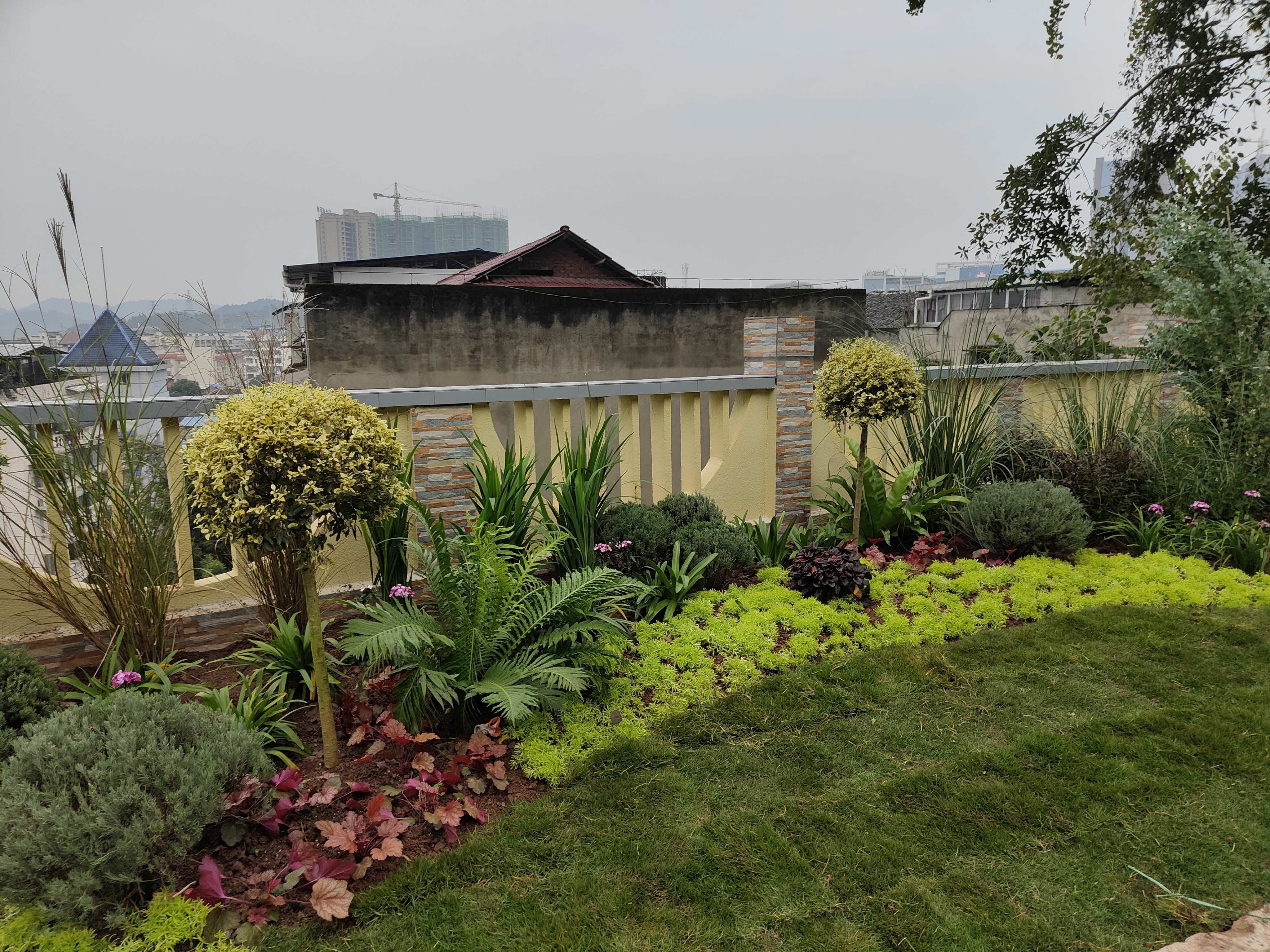 安嶽紫竹公園,這片空地規劃栽種綠化植物多又好看