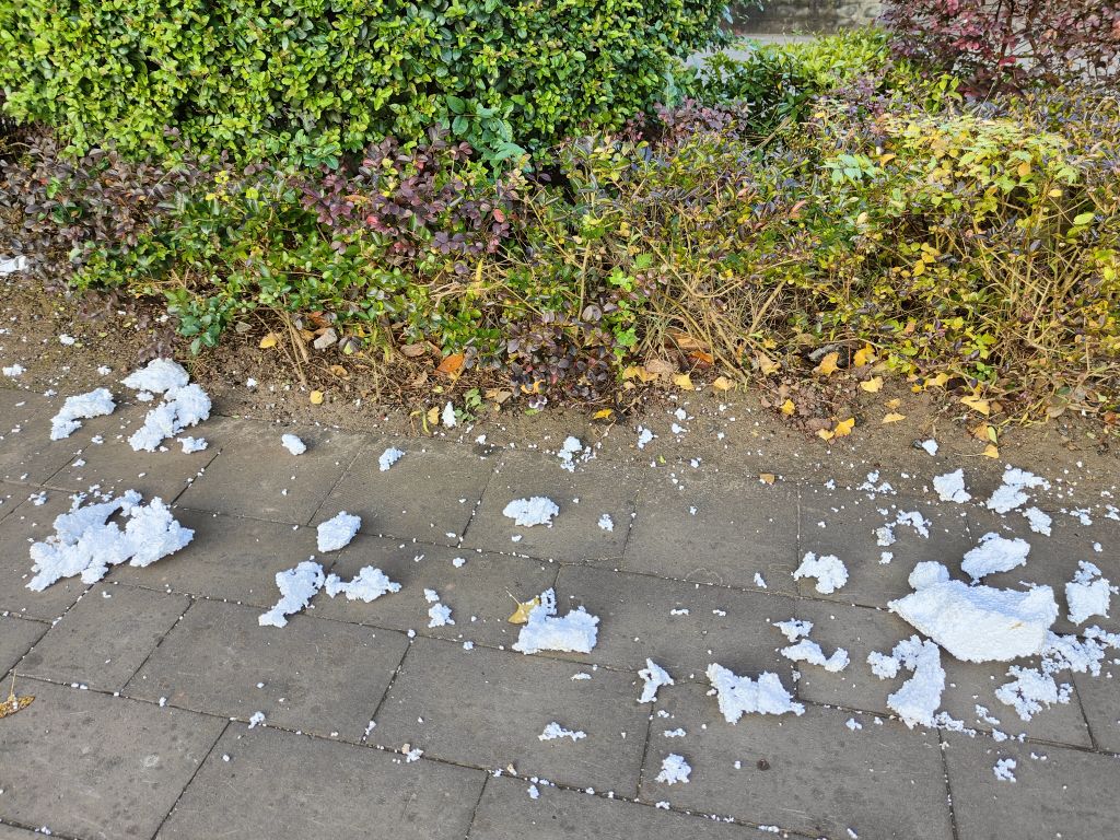 安岳圆觉洞外红绿灯处,泡沫块细籽飘遍地!