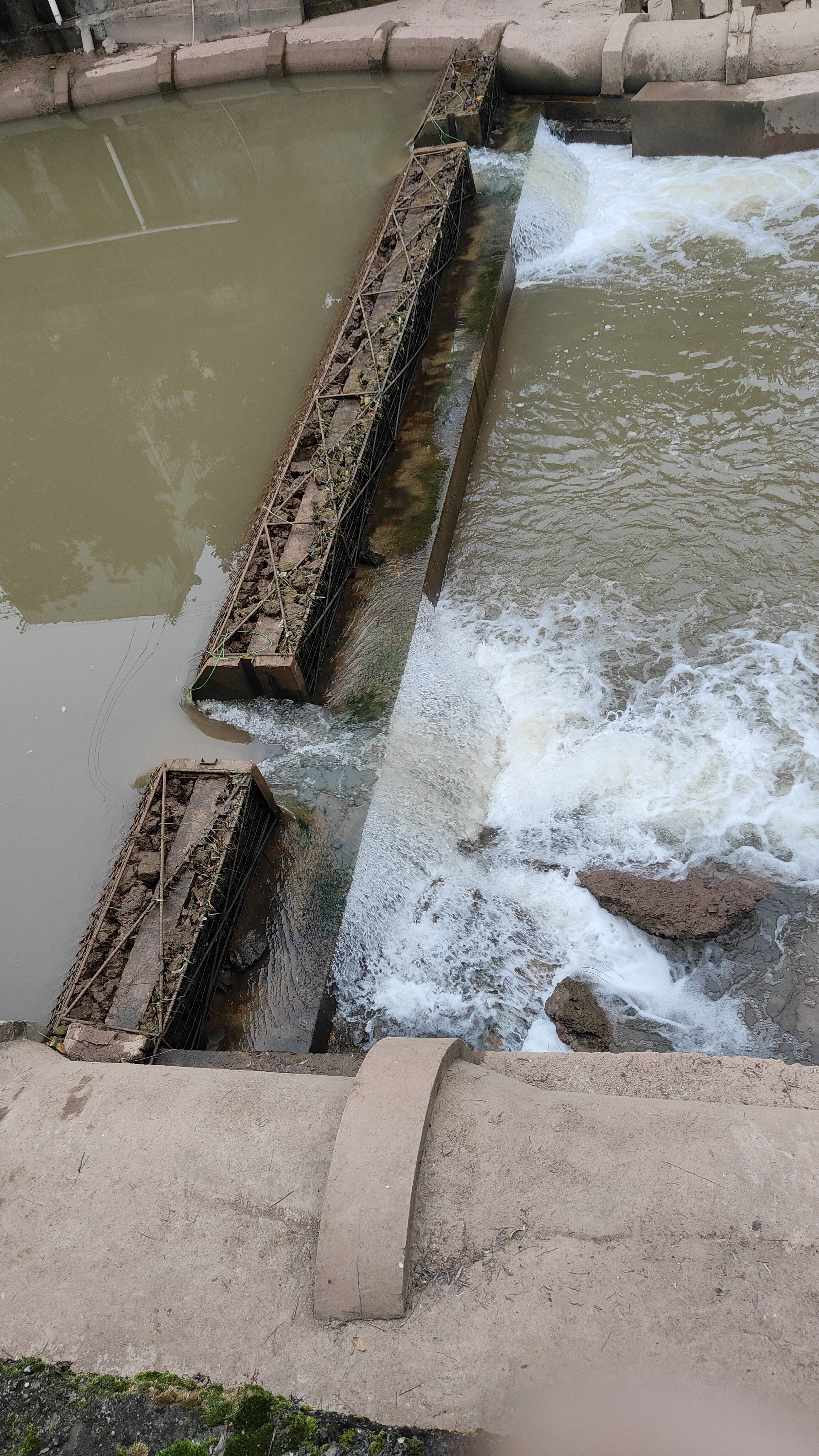 安岳岳阳河,开闸放水了