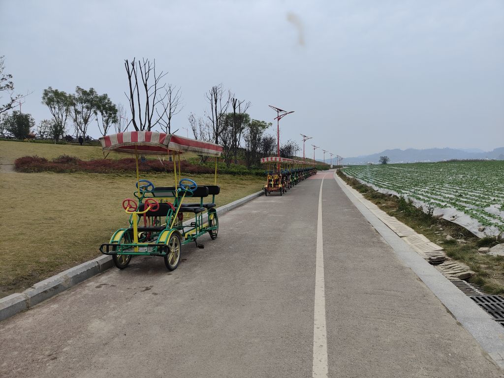 潼南蔬菜公园,你来观看过没有?