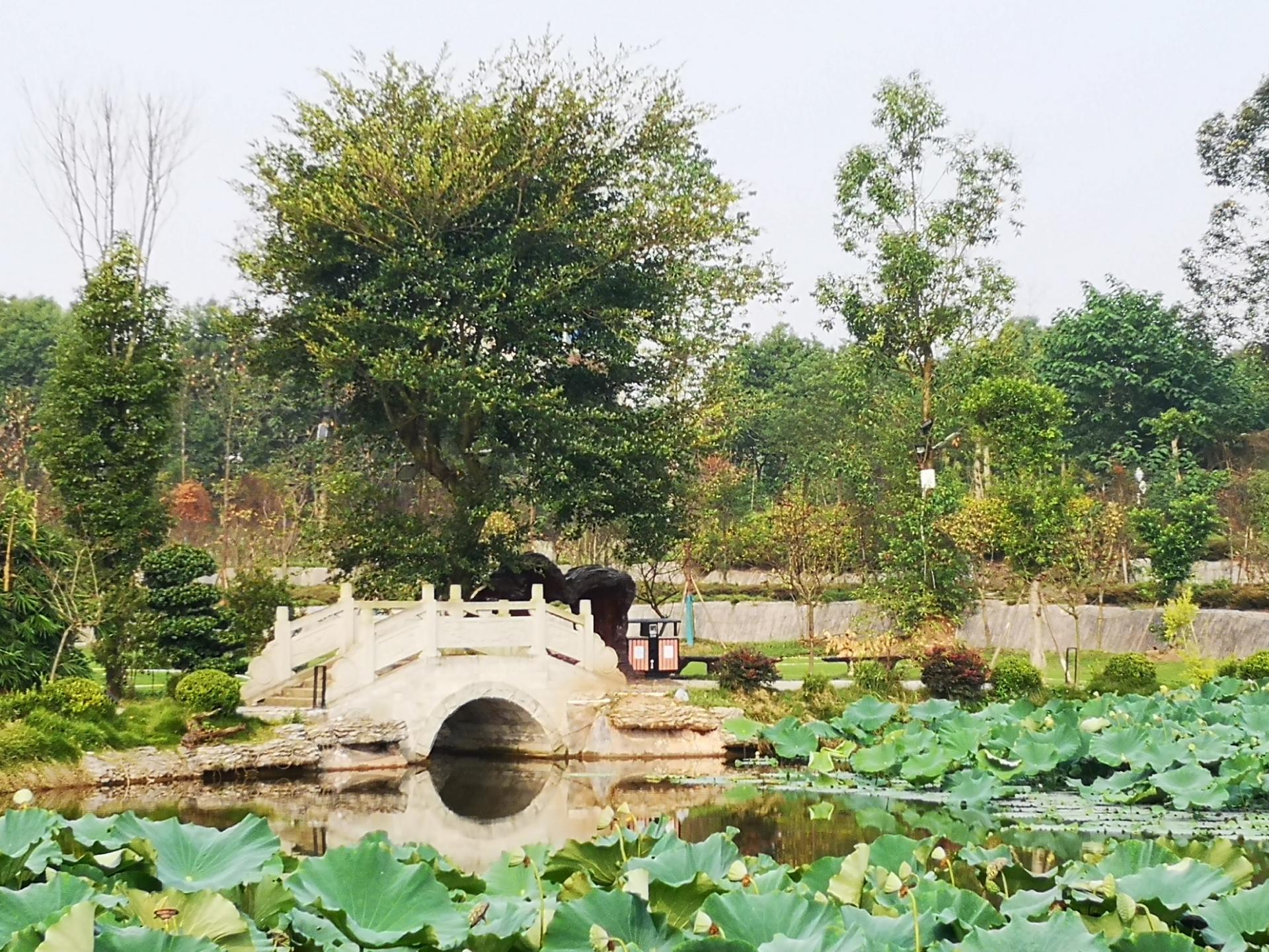 国庆游玩隆昌谢家大院,环境优美景色宜人