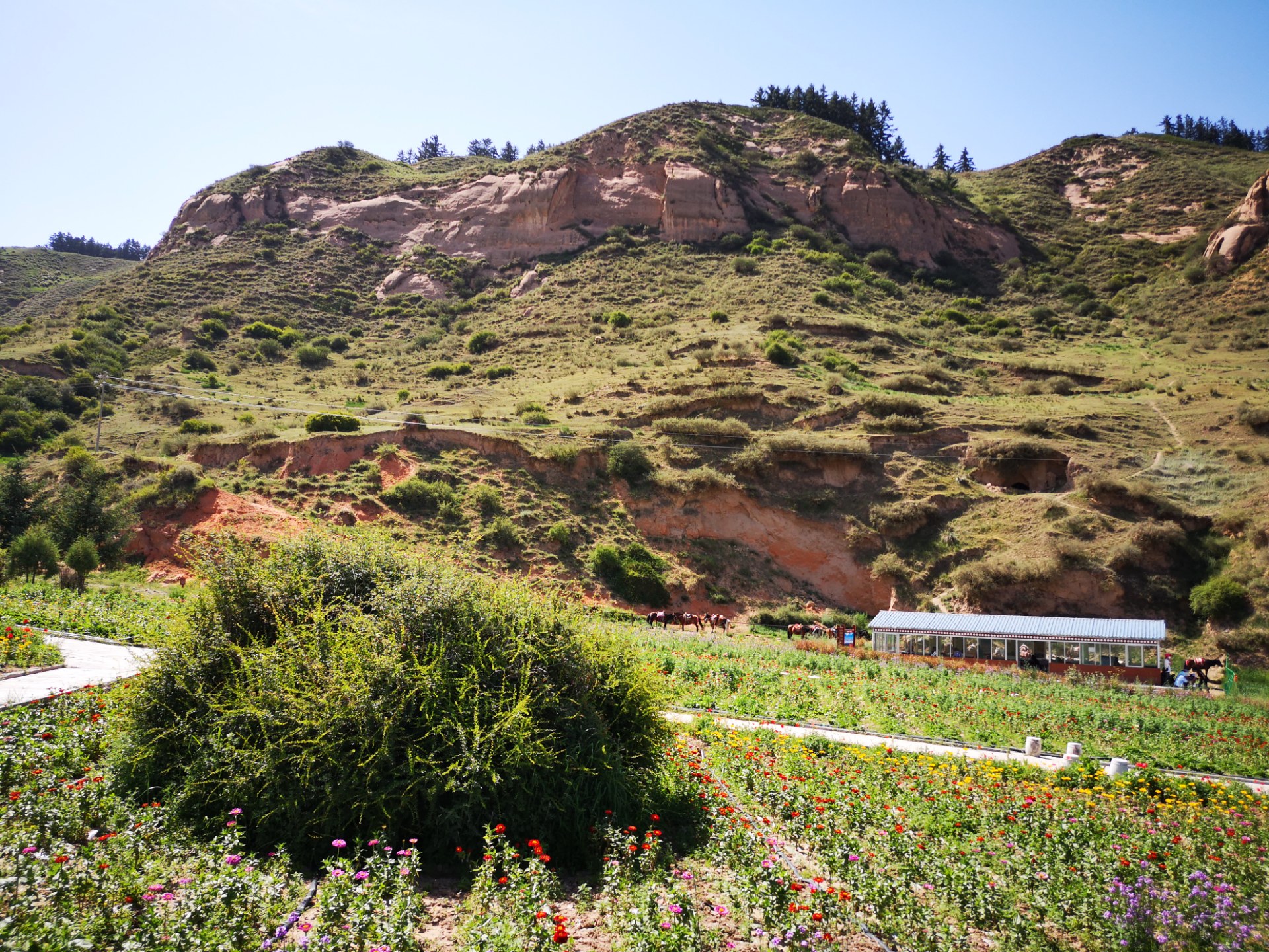 甘肃省肃南县的马蹄寺,景色优美风光无限