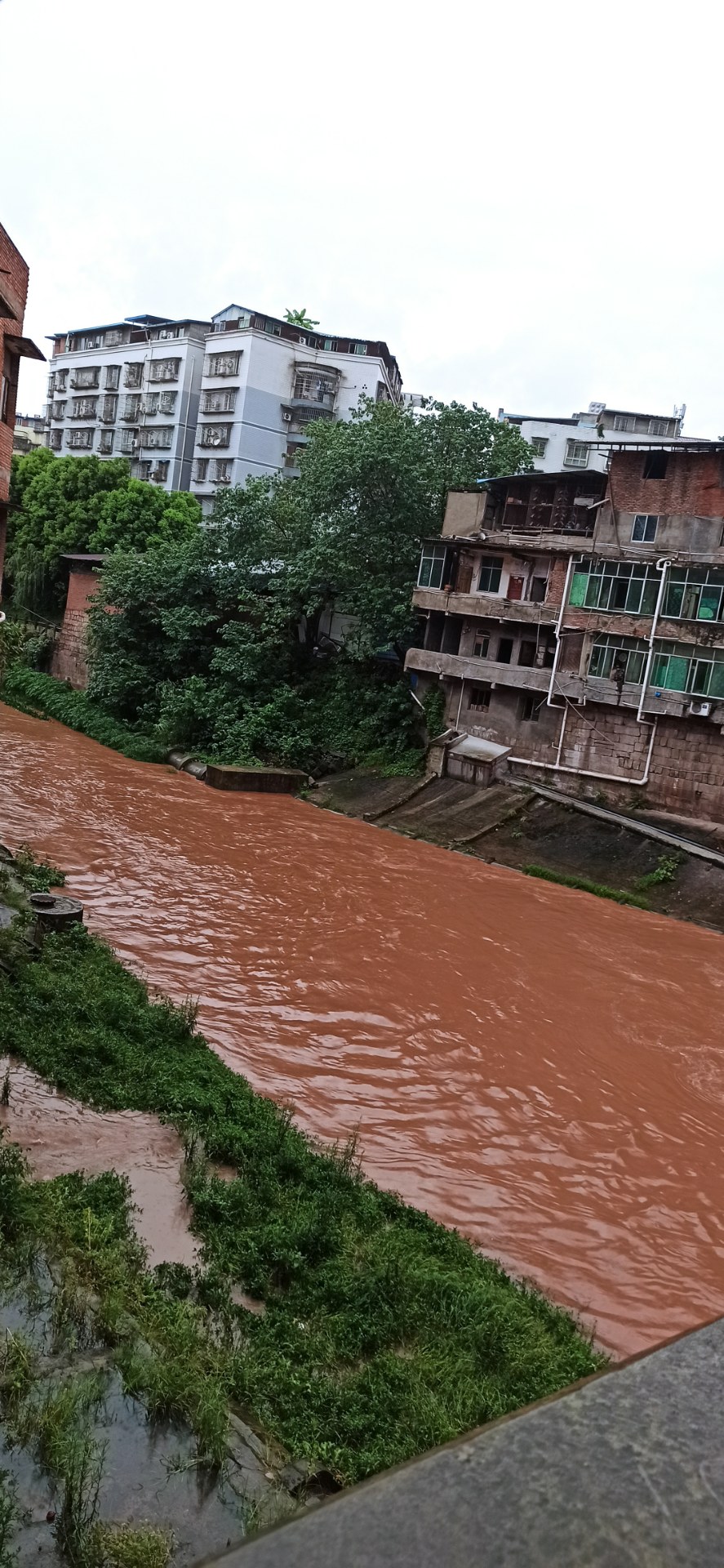(原创)安岳涨洪水了