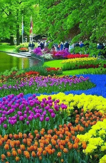 浪漫唯美的六月花海