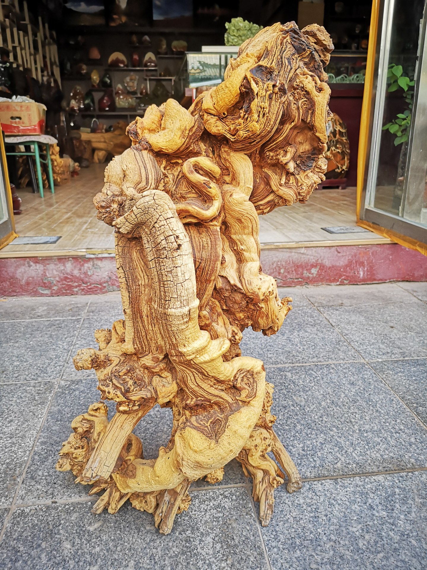 这"胡杨木"的根千姿百态太有欣赏价值了