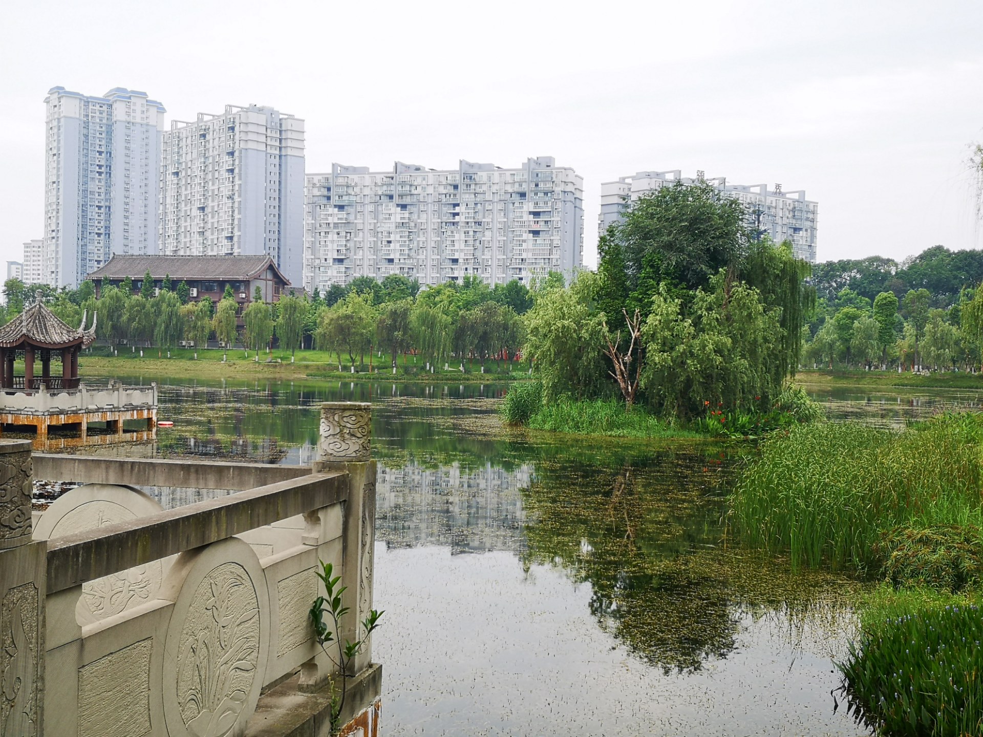 眉山苏母公园景观随拍