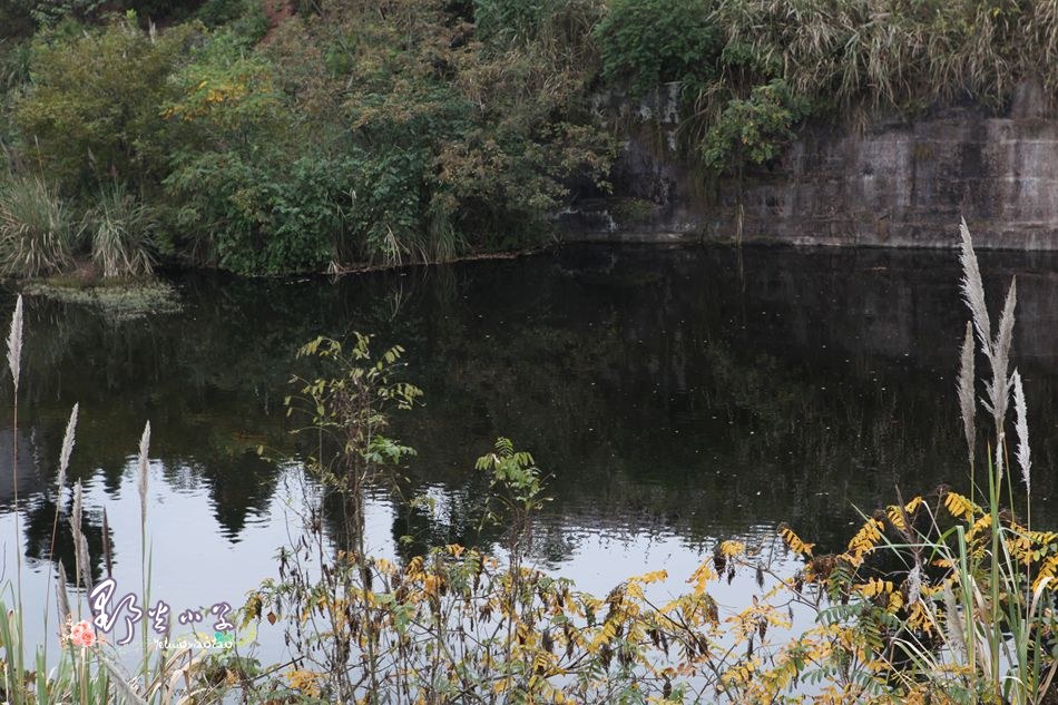 【小草原创】寻找老安岳遗迹——朝阳水库