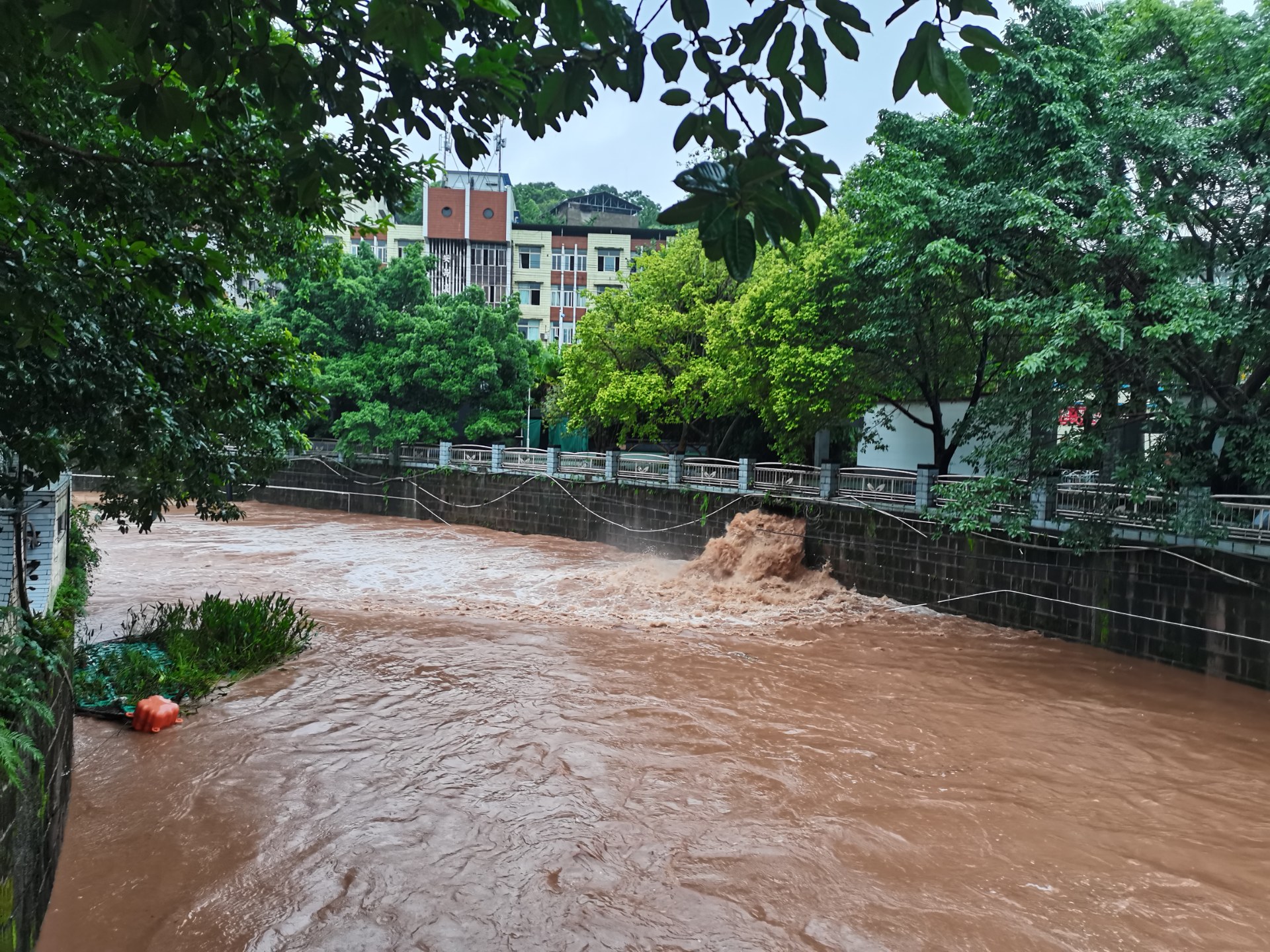安岳竟然也涨这么大的水!