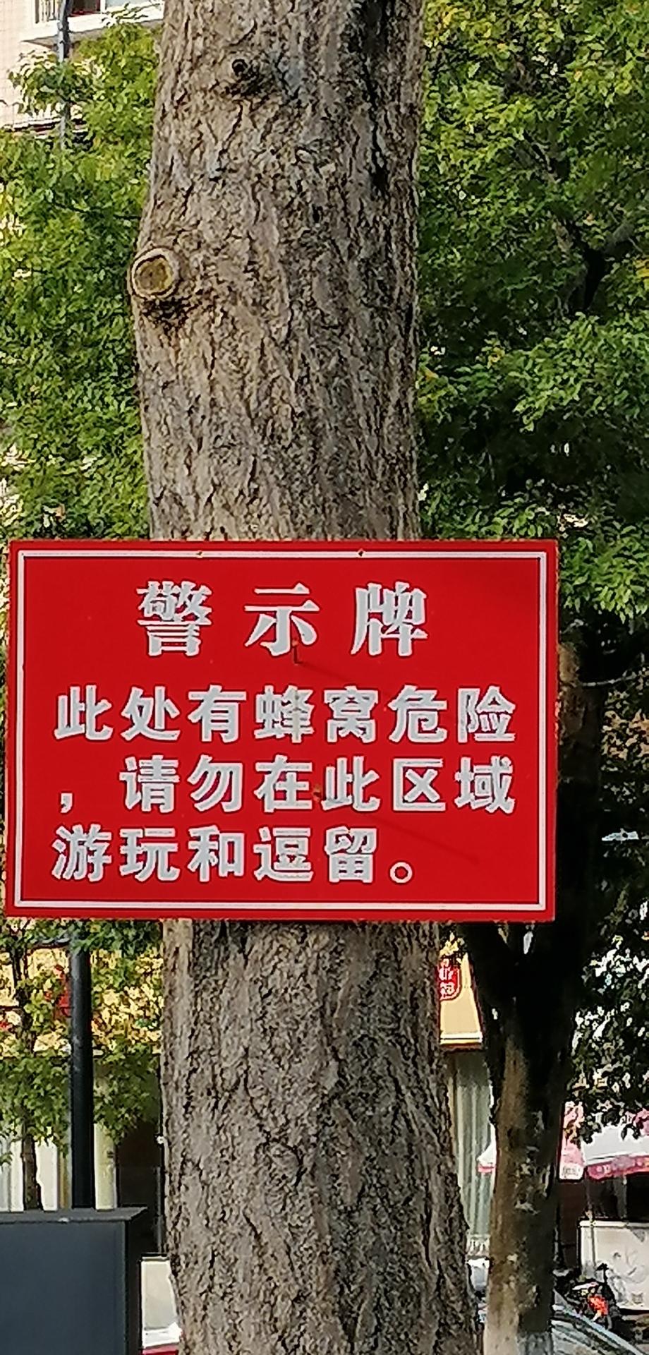 今早晨练,在九曲河露天体育广场附近,一大树干上挂着一醒目警示牌