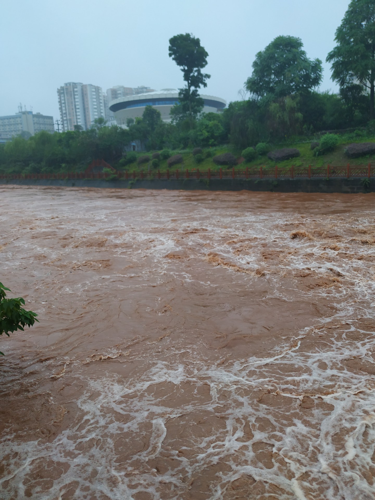 快来看九曲河涨水了,湍急的河水奔向沱江口!