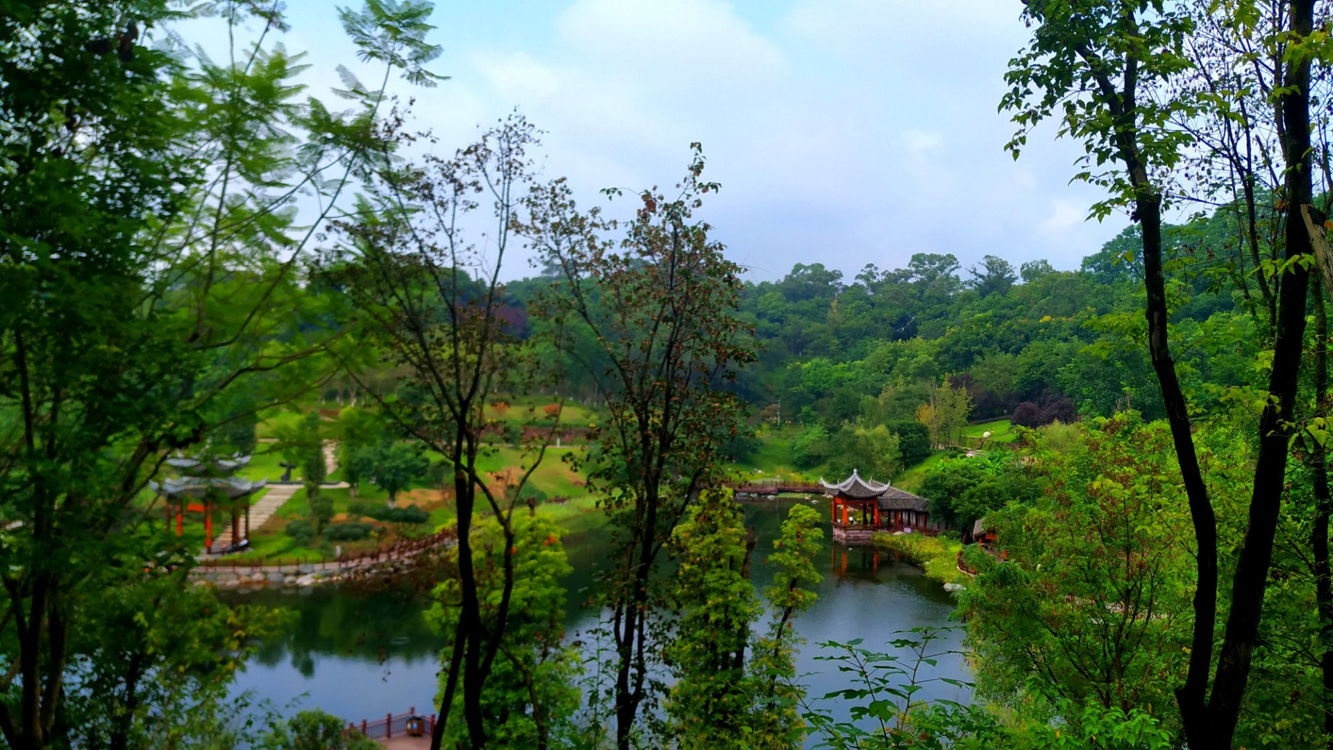 雁城凤岭公园风光无限好,莲池亭台楼阁别样美!