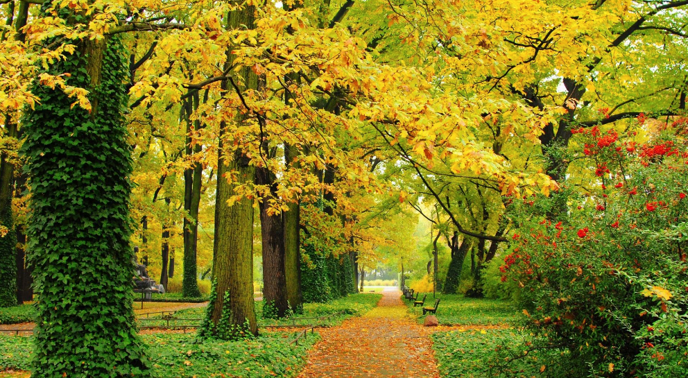 夏秋风光美如画