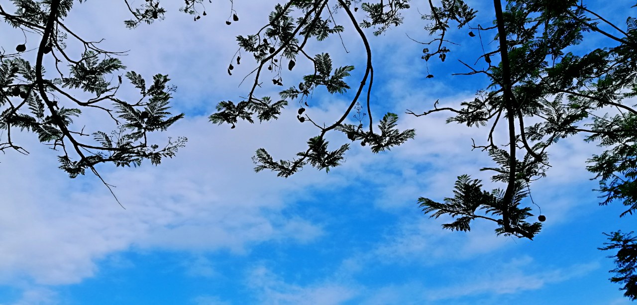 仰望天空的蓝天白云,令人心旷神怡,资阳环境不断得到治理保护!