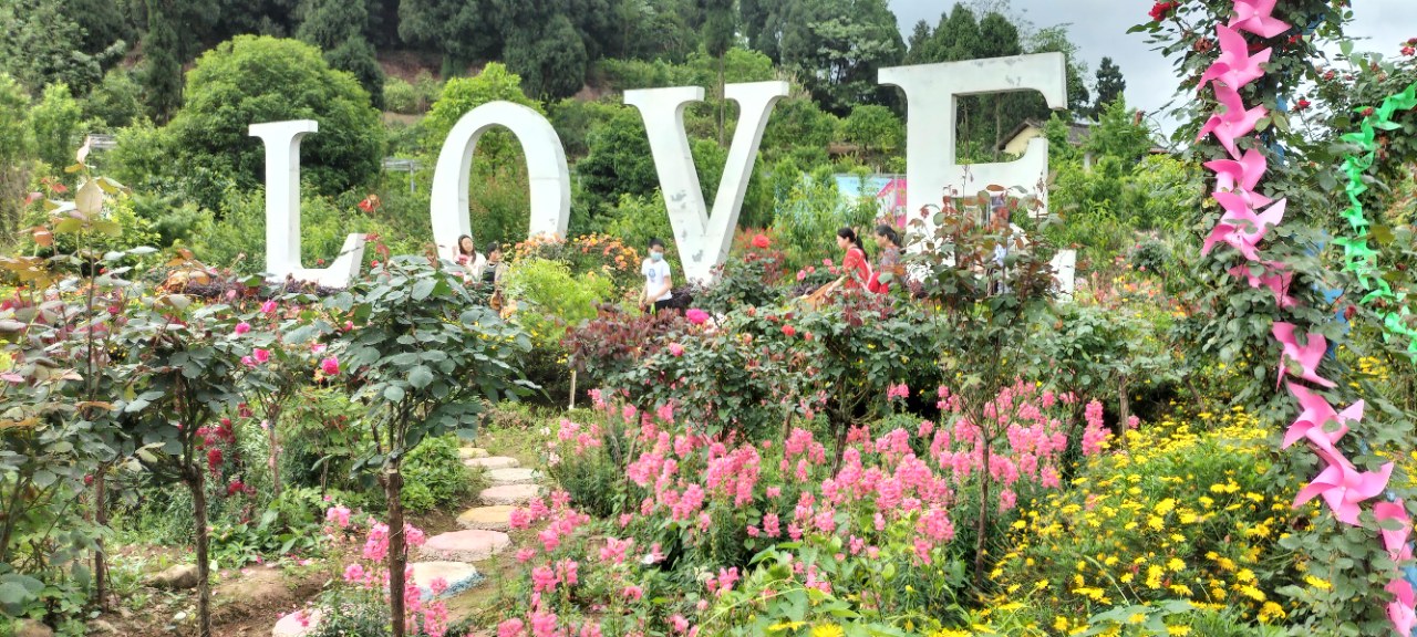 原创 网红打卡悦缘花谷