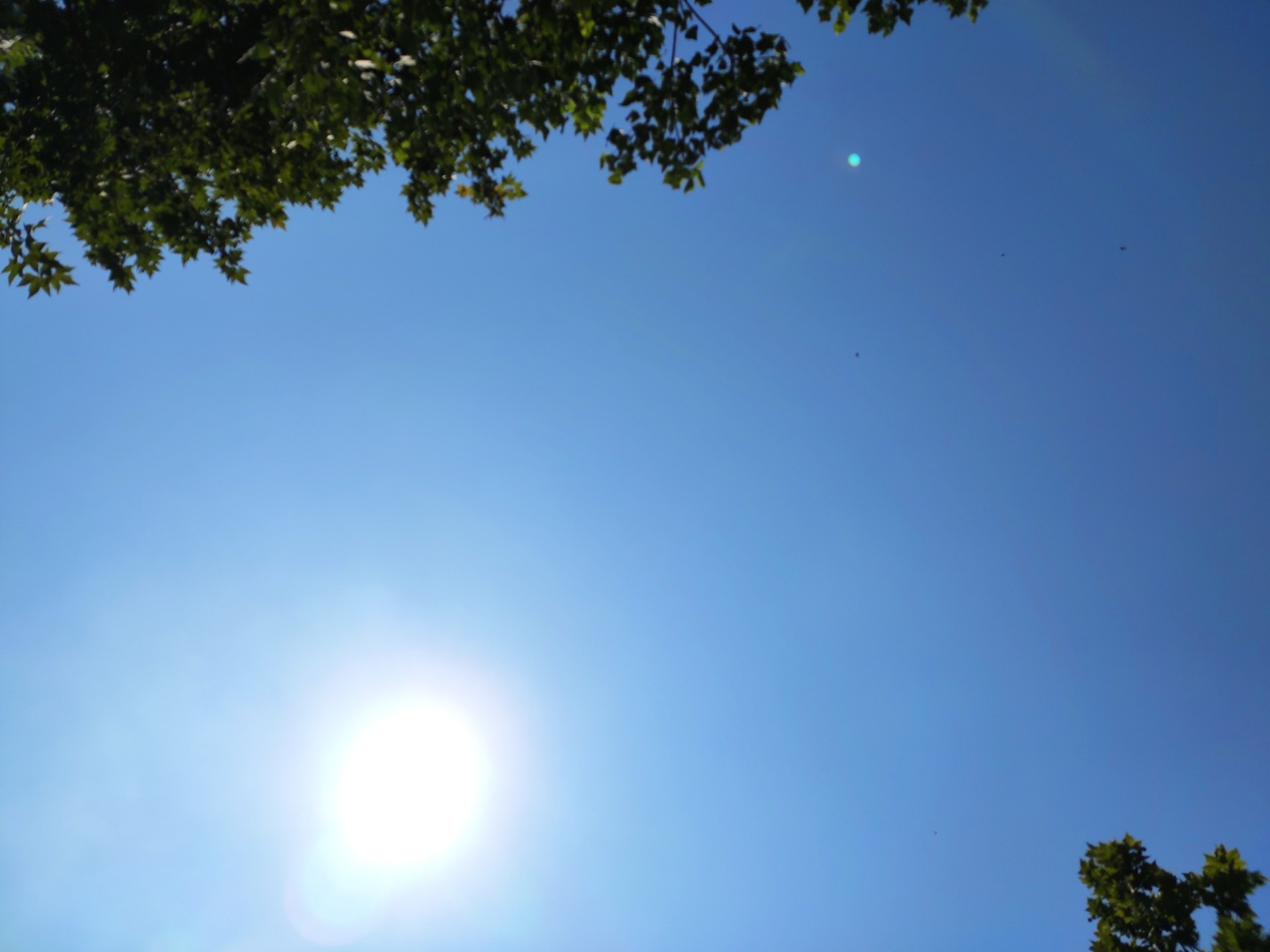天气炎热,注意防暑
