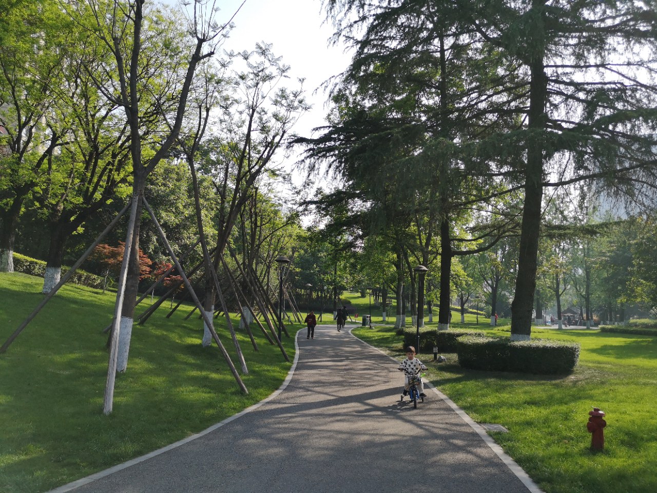 成都这公园以草坪为主,环境幽静美丽极了