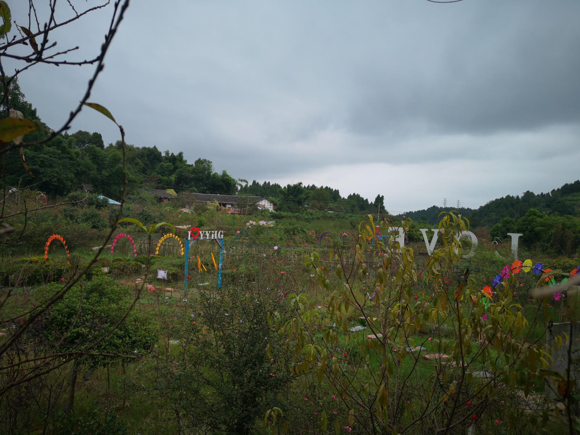 秋游安岳悦缘花谷,花草已枯风景难秀