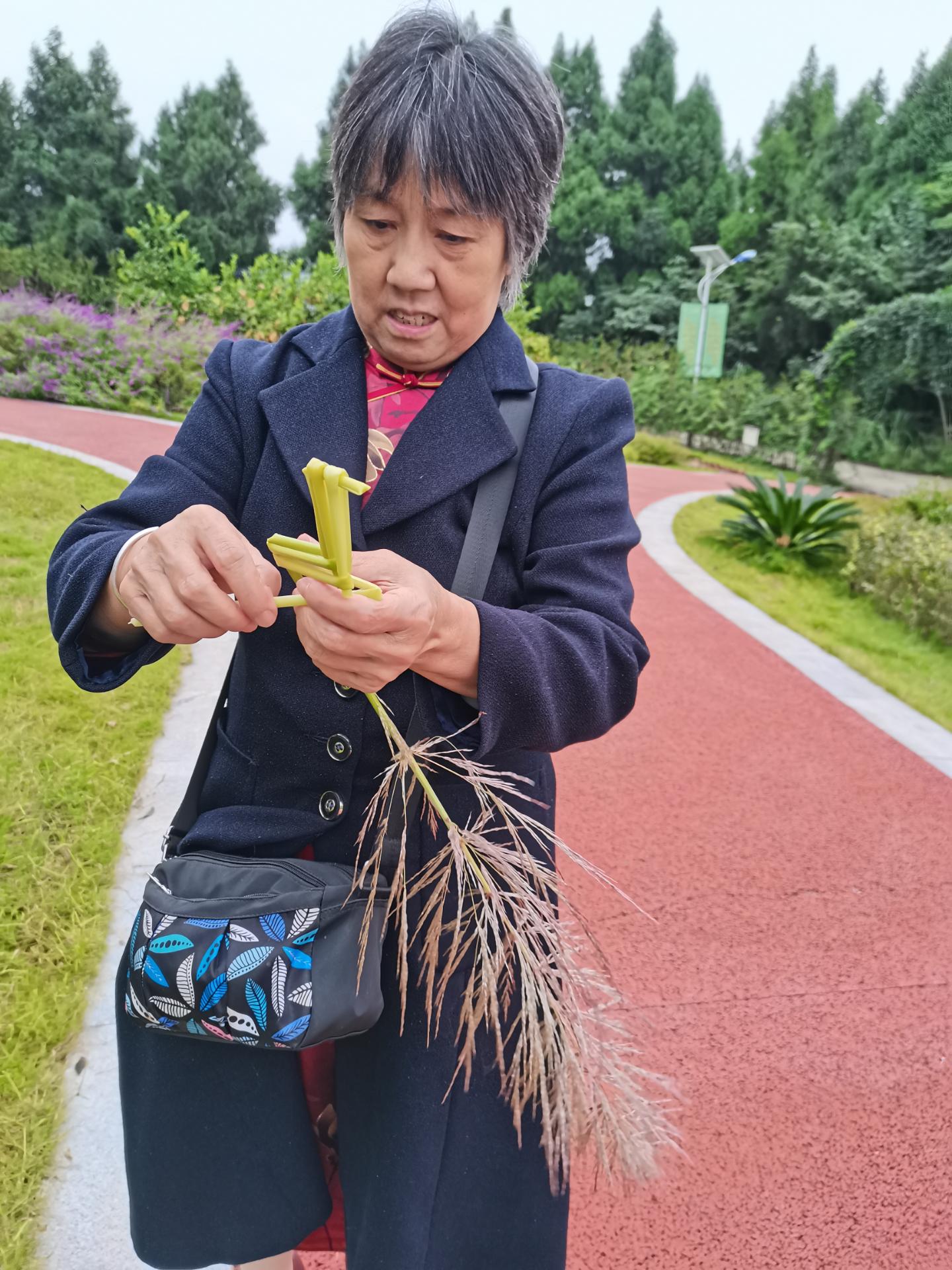 芭茅杆编枪怎么编图片