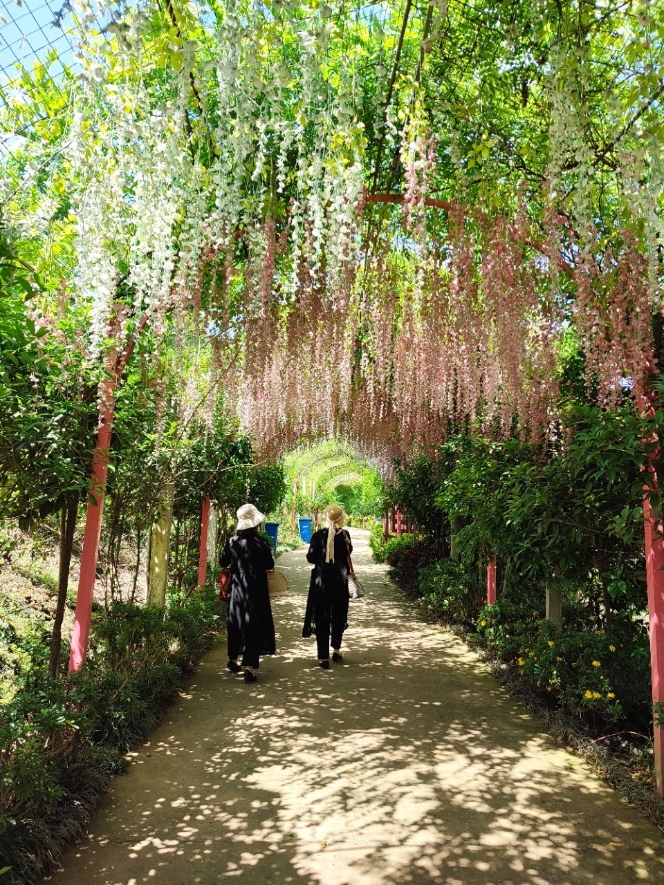 【小草原创】安岳悦缘花谷玫瑰盛开,笑迎游客欣赏打卡