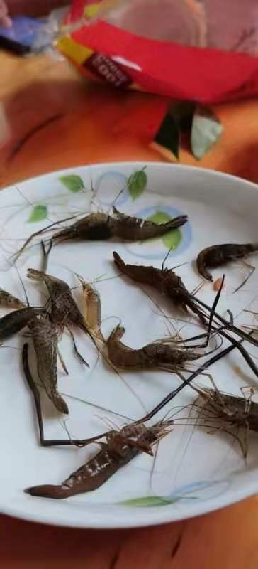 田虾
