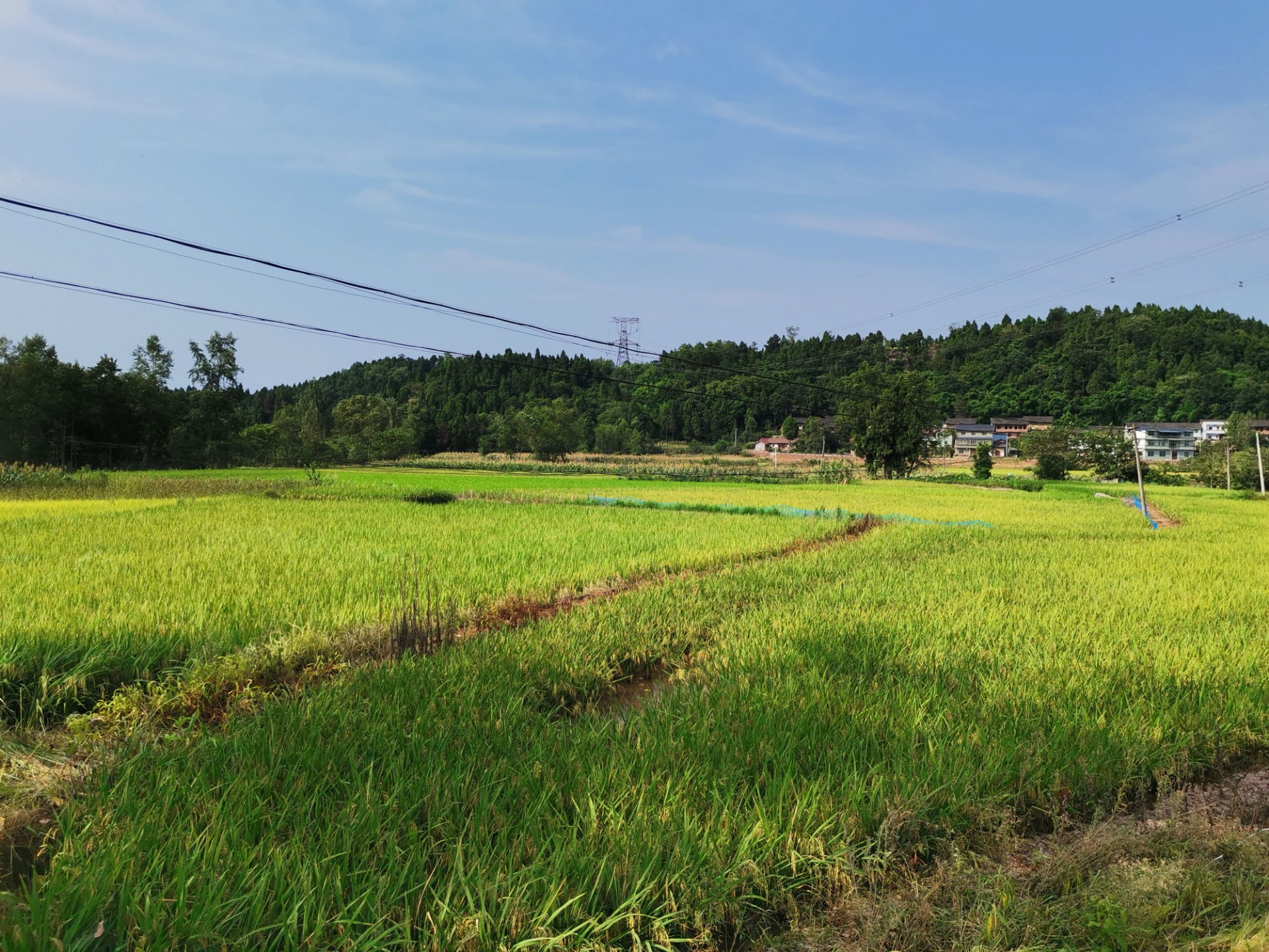 安岳天林镇精美的石拱桥一一长水桥