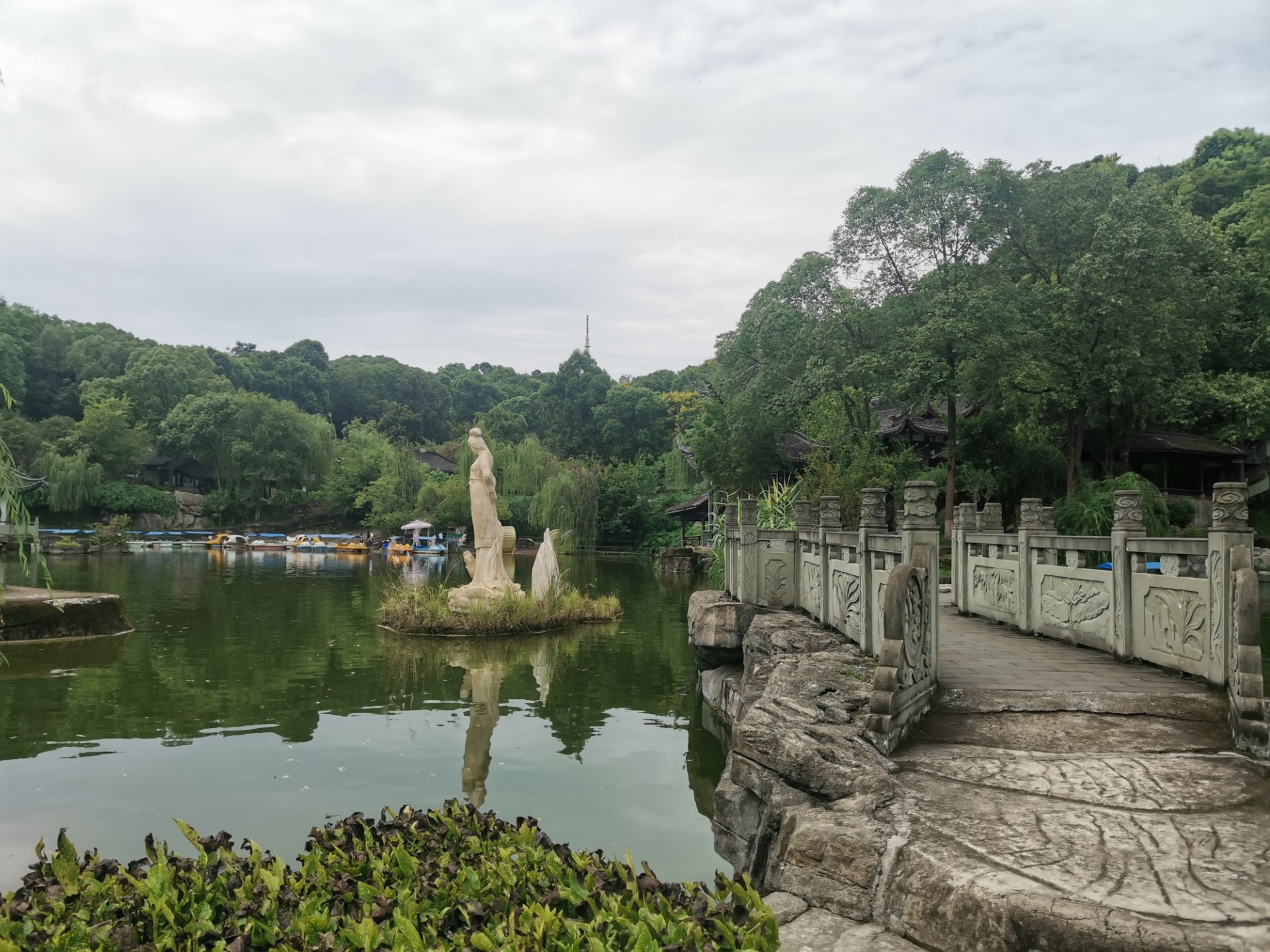 绵阳西山玉女湖,百年紫藤自成荫