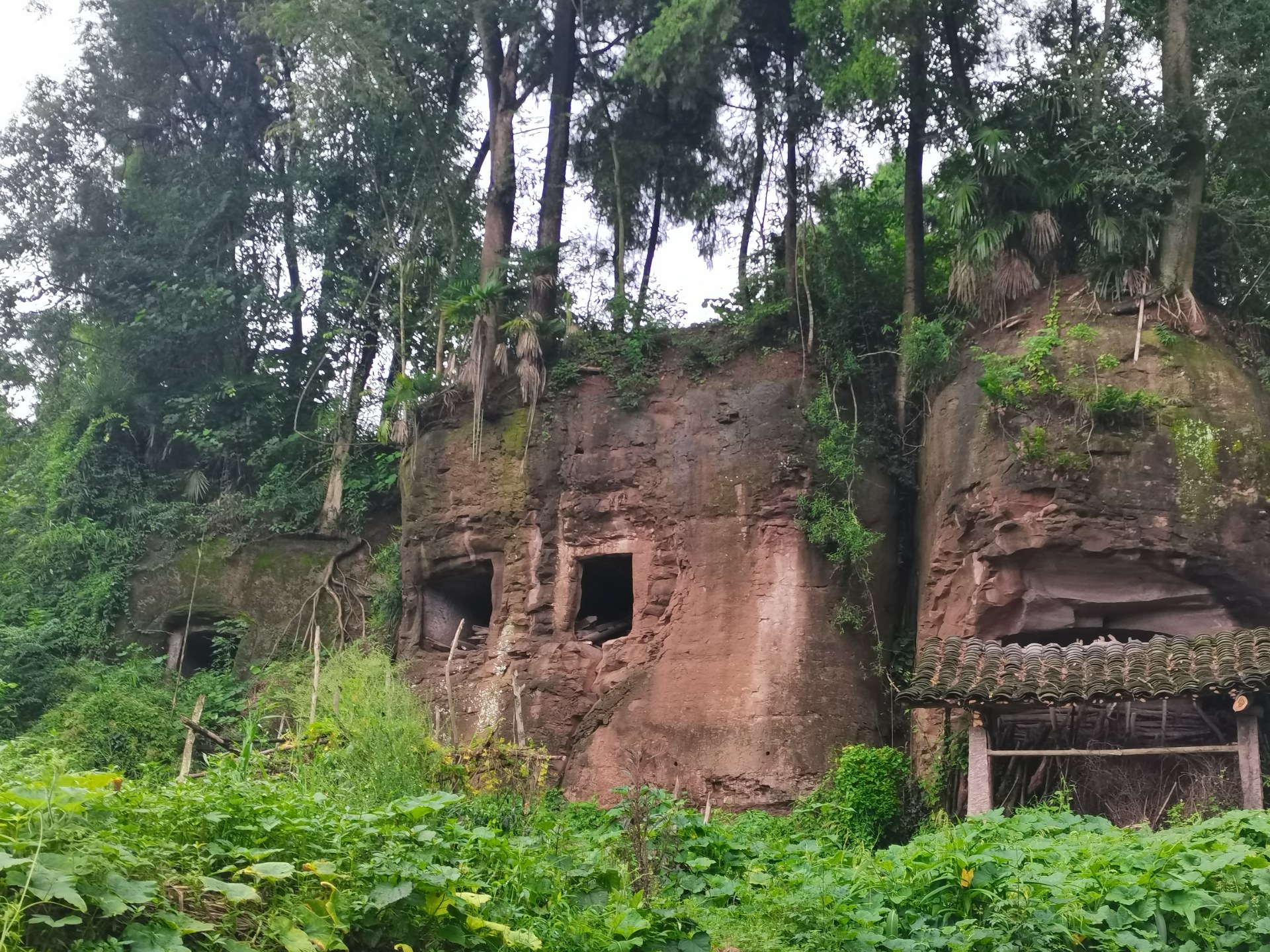 安岳县兴隆镇七大队原来有座远近闻名的金龙山,传言是大成山龙脉所延