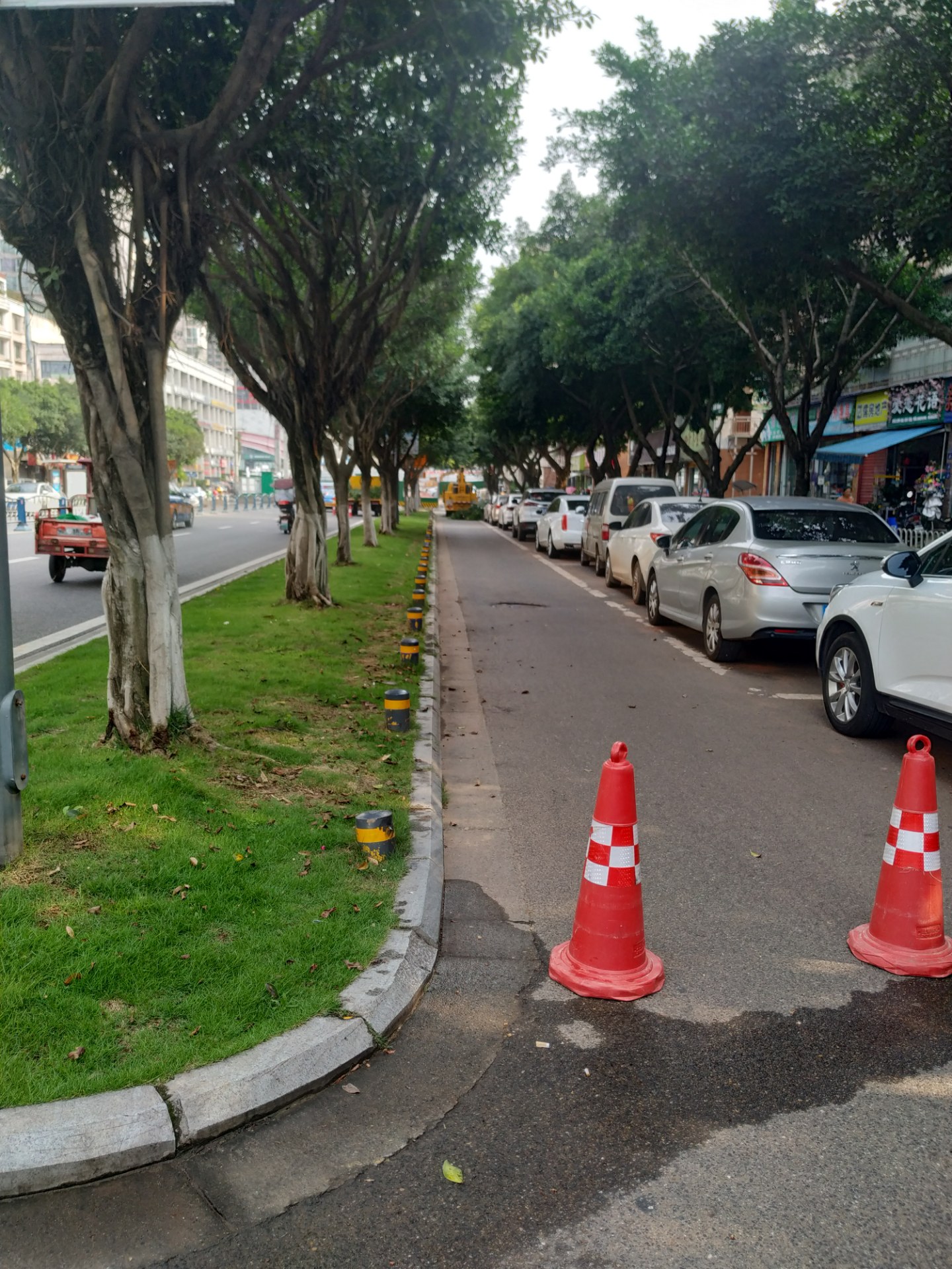 资阳仁德西路市园林处正在锯树枝,占道机动车道和非机动车道,路过车辆