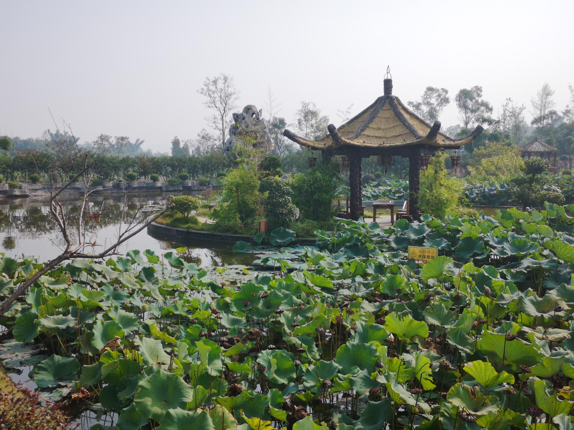 国庆游玩隆昌谢家大院,环境优美景色宜人