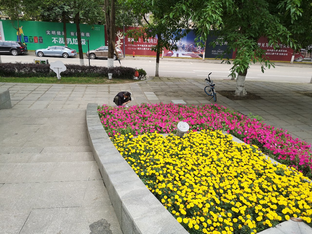 愤怒:公共花台里掏走花泥,这人丝毫不听劝阻