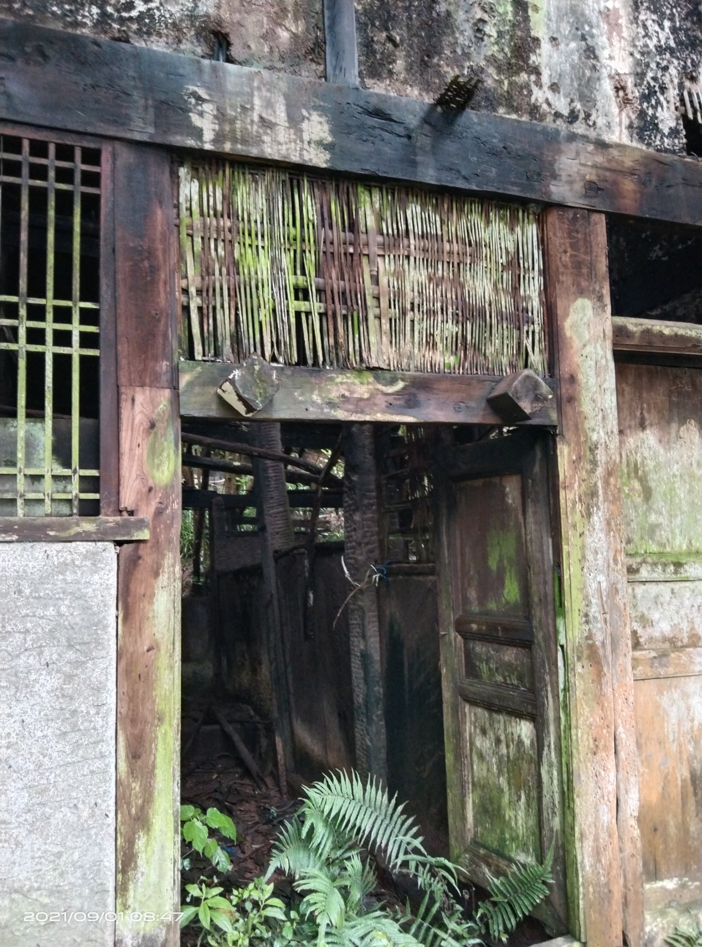 社会发展,农村废弃的房子越来越多