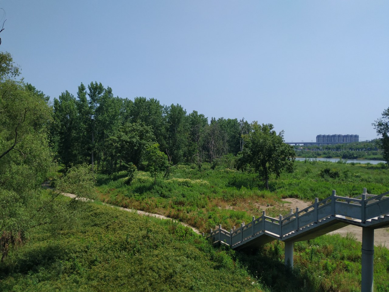 探寻资阳遗迹之——曾经的青年林