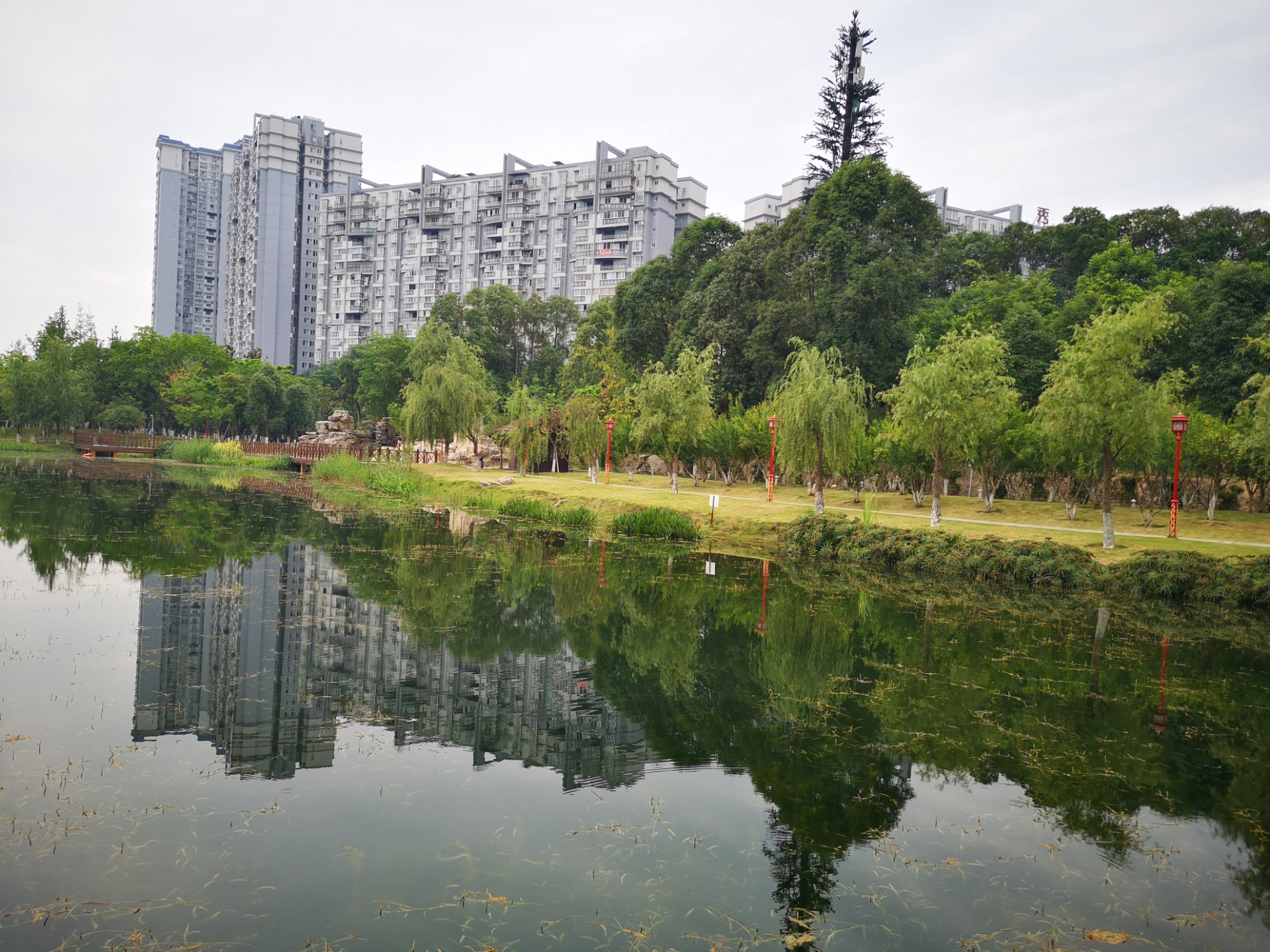 眉山苏母公园景观随拍