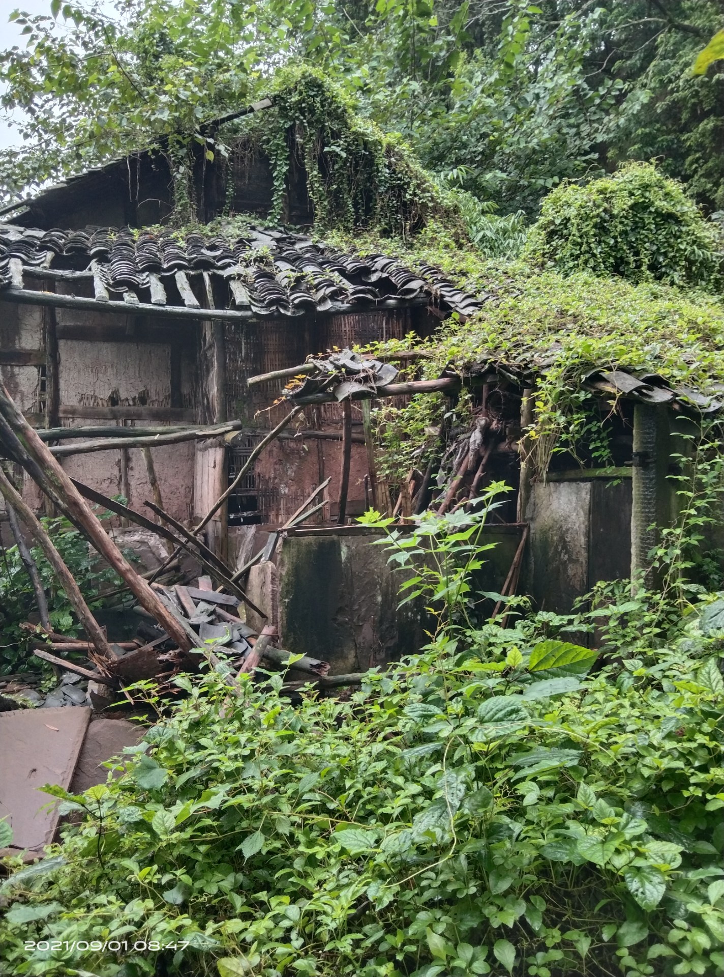 社会发展,农村废弃的房子越来越多