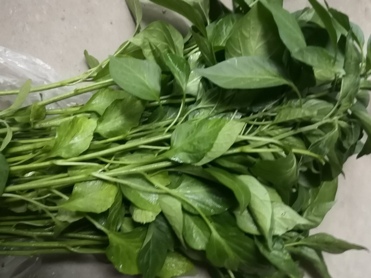 久逢甘露栽菜秧去