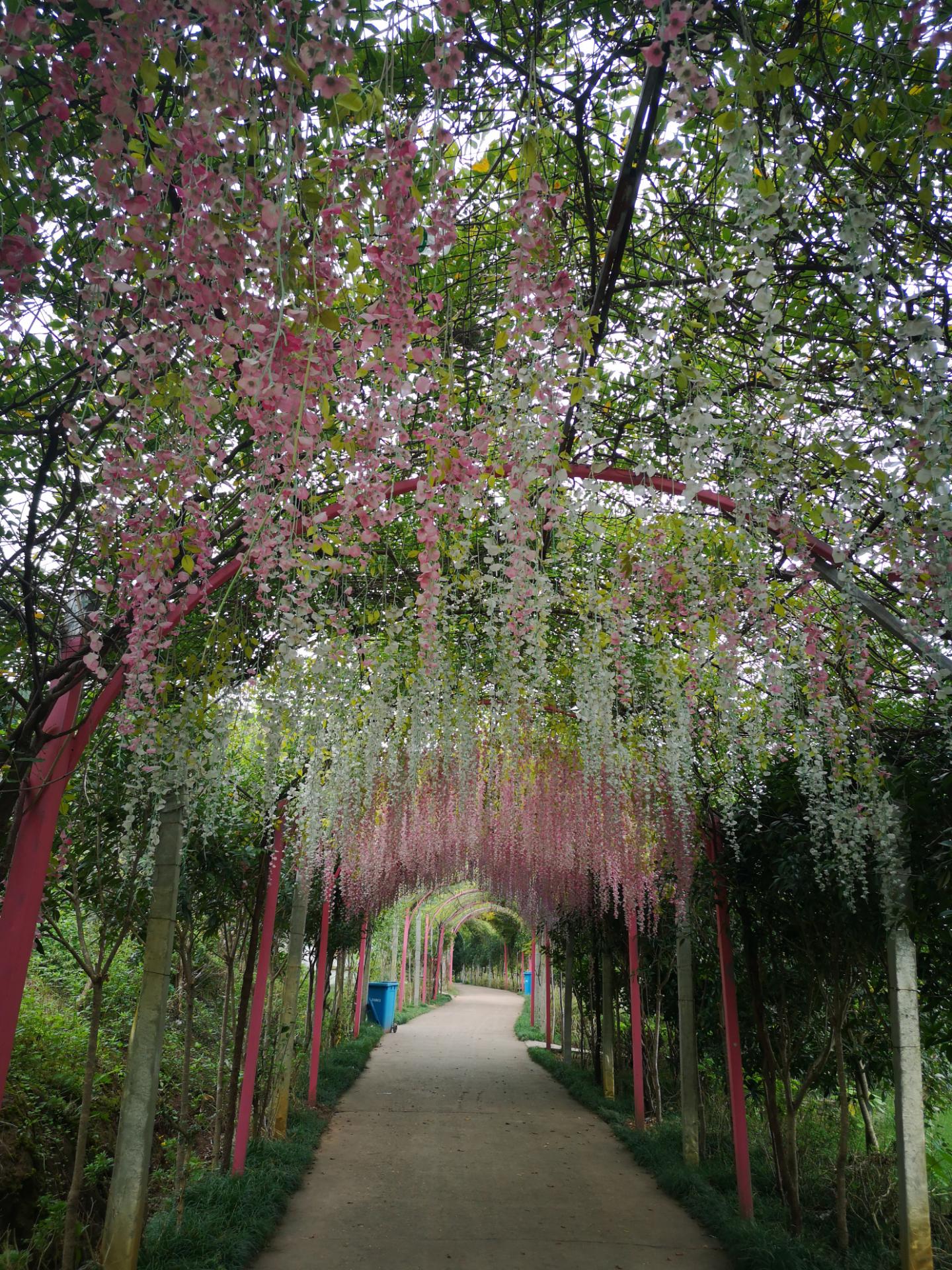 秋游安岳悦缘花谷,花草已枯风景难秀