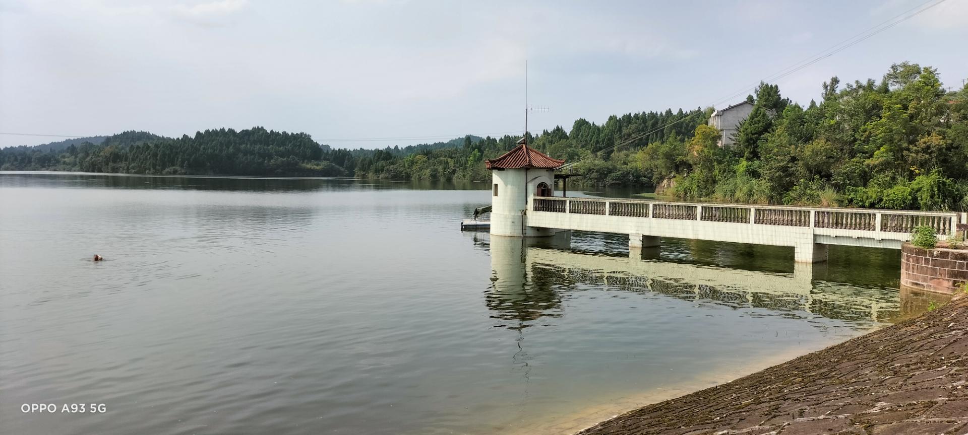 原创 回想几十年前的事|安岳书房坝水库小记