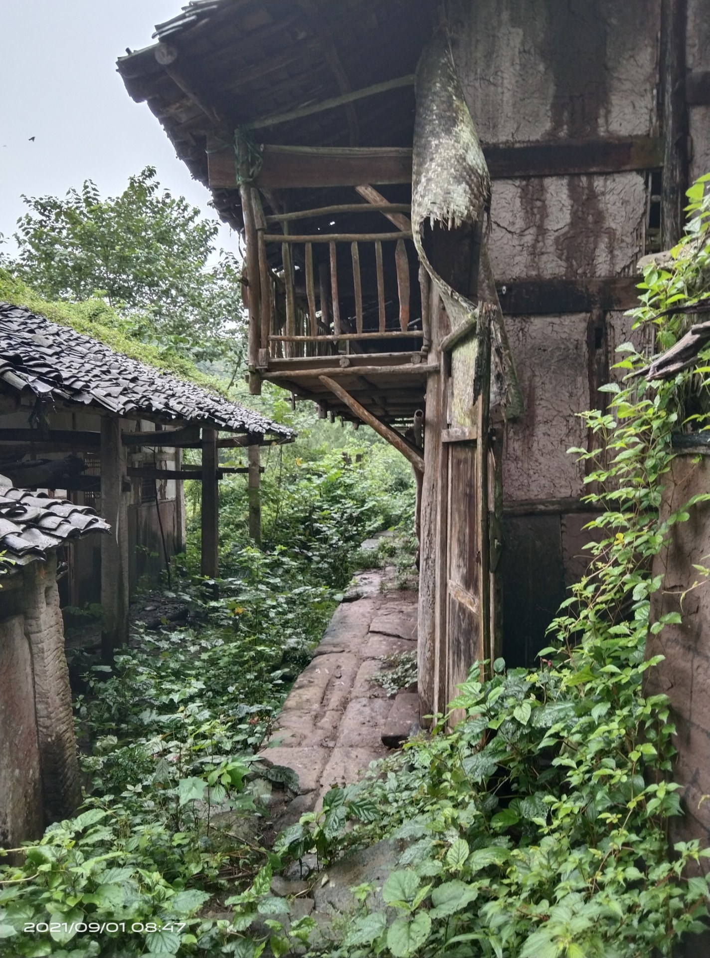 社会发展,农村废弃的房子越来越多