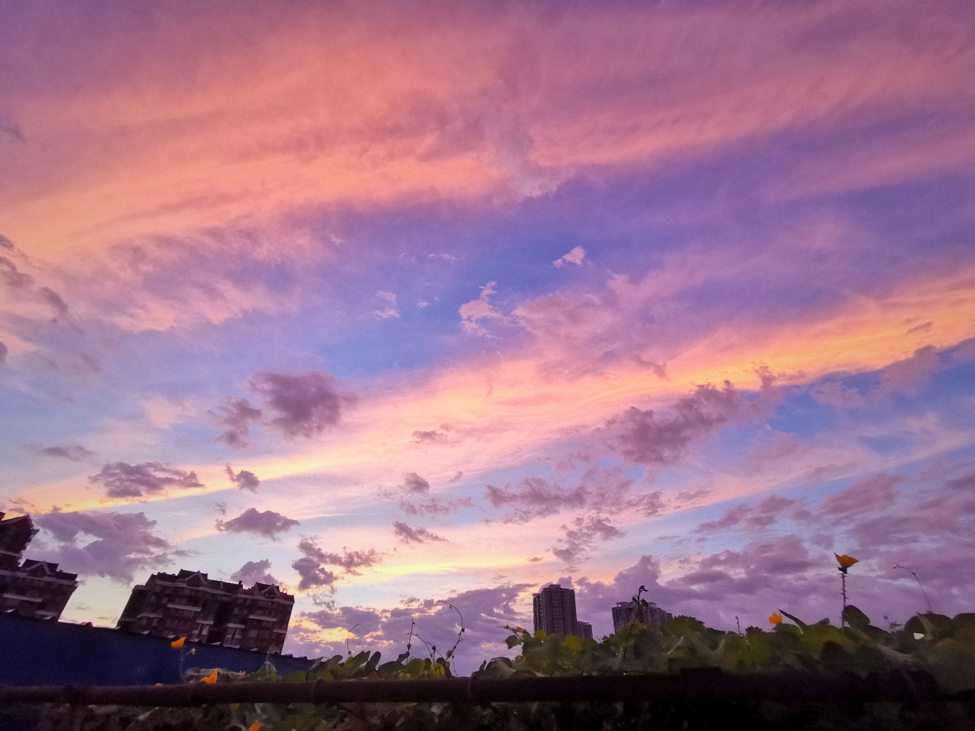 今天早上的天空彩云飘飘真漂亮!