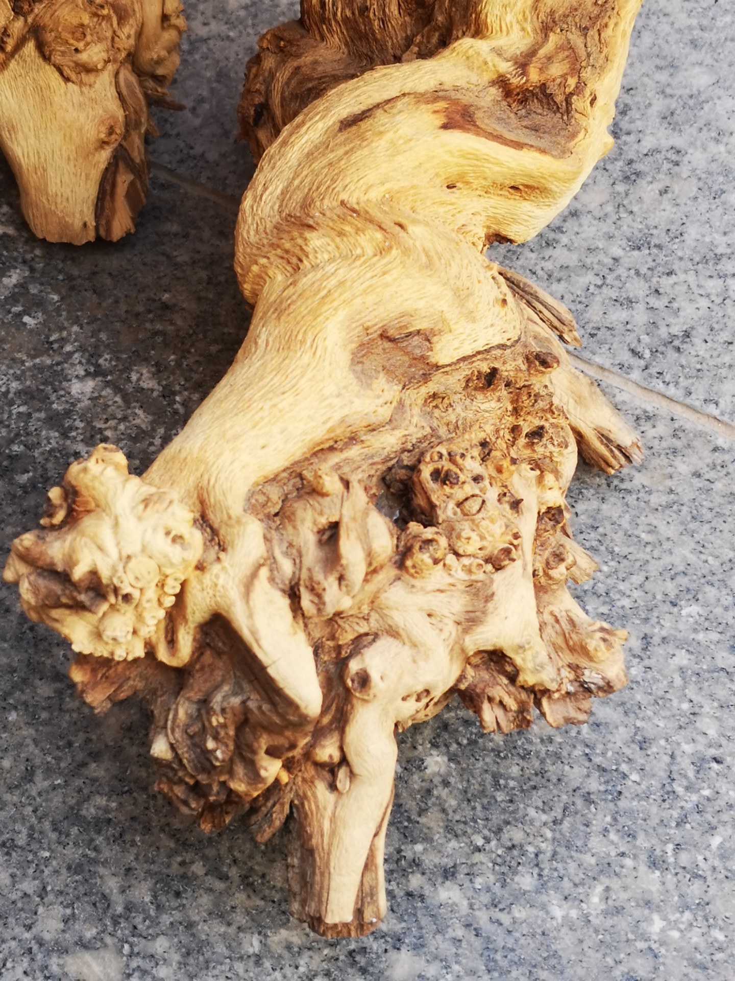 这"胡杨木"的根千姿百态太有欣赏价值了