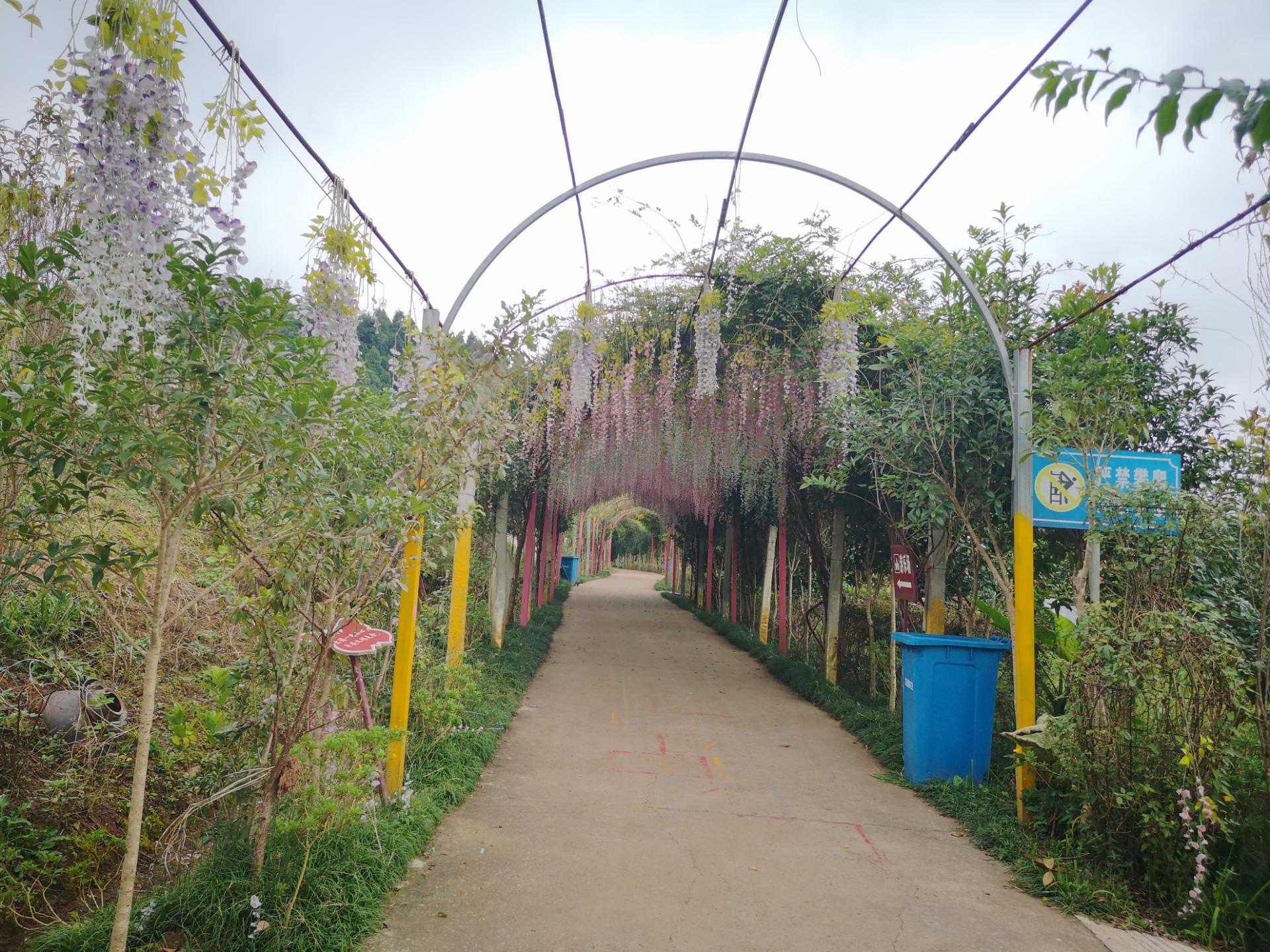 秋游安岳悦缘花谷,花草已枯风景难秀