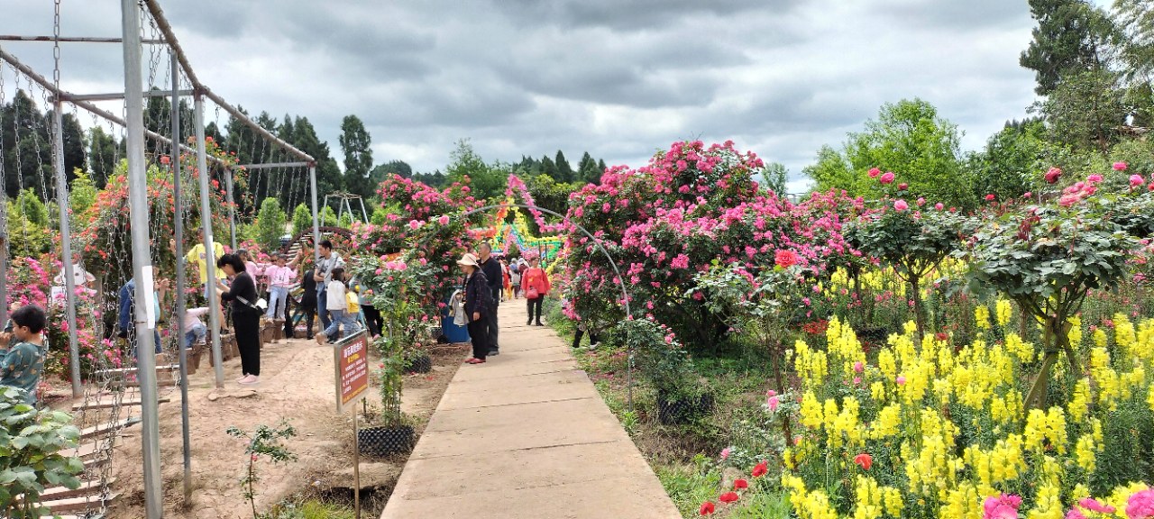 原创 网红打卡悦缘花谷