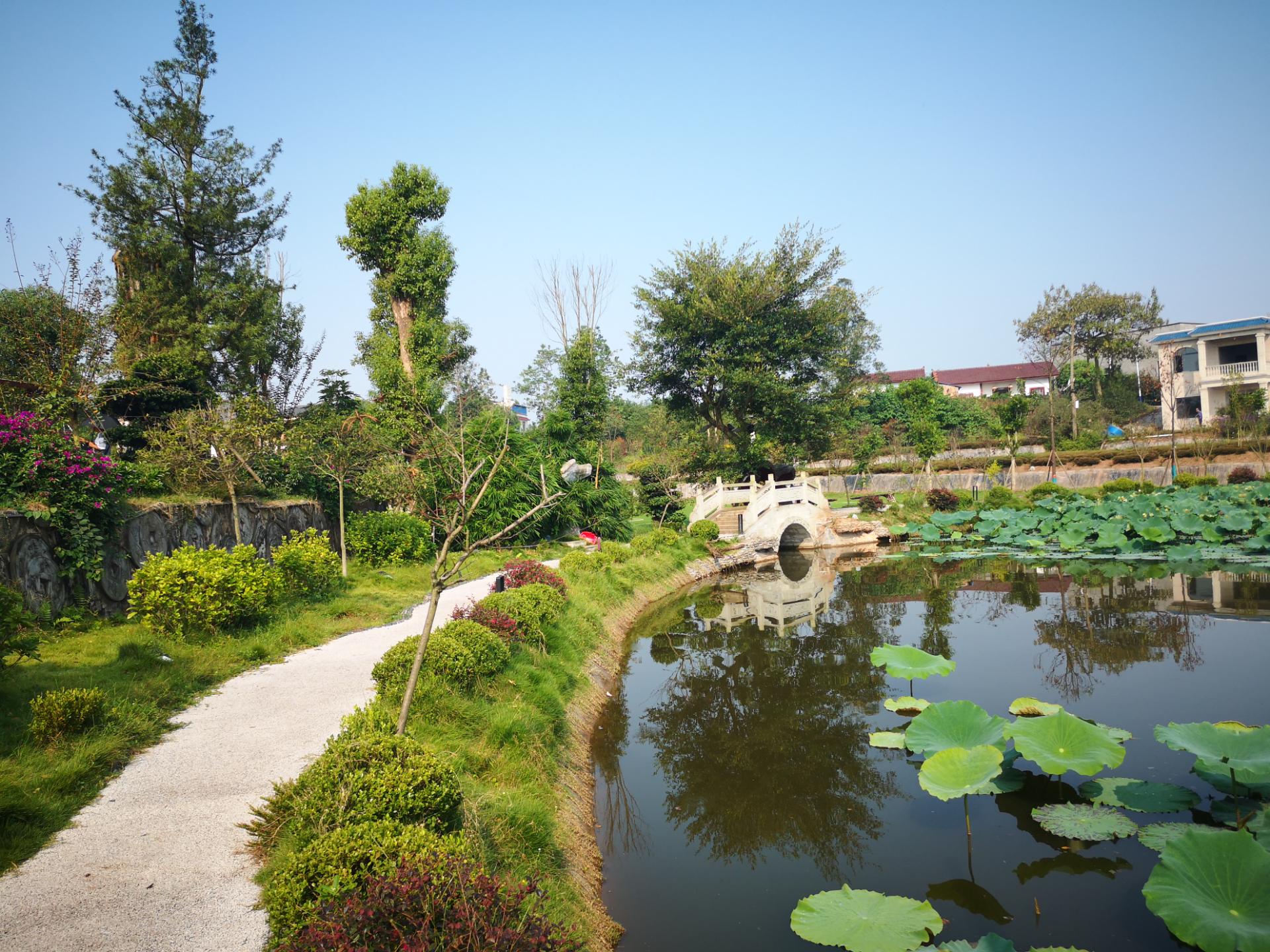 胡家镇谢家大院图片